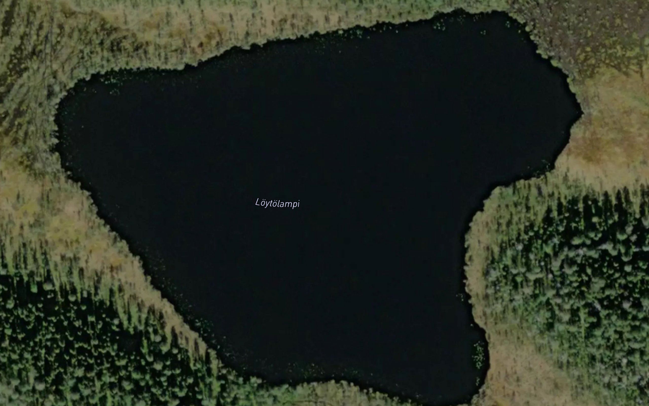 Loytolampi