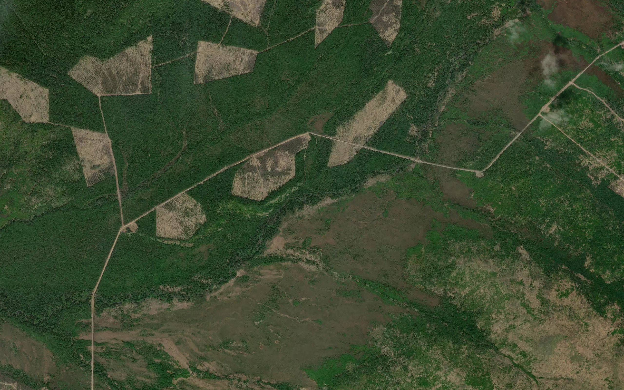 Lesnyye Polyanki