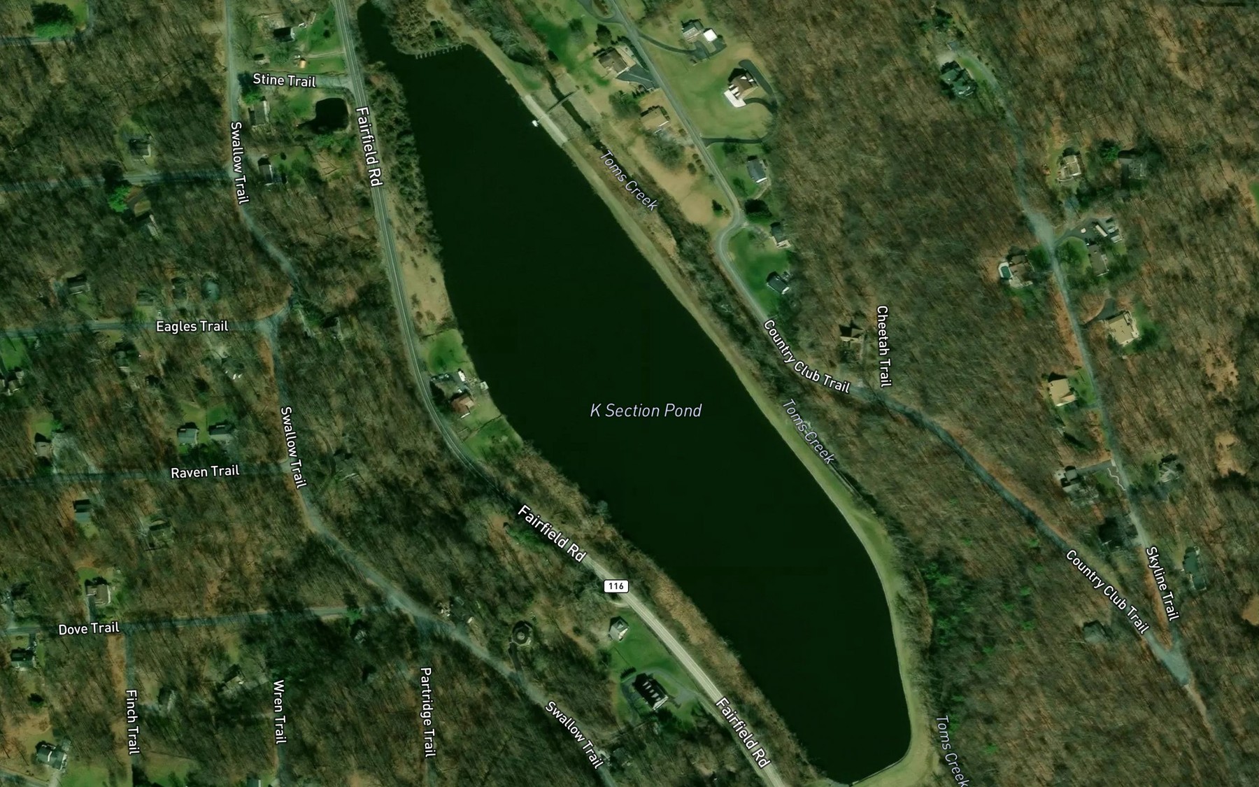 Satellite map of the K Section Pond