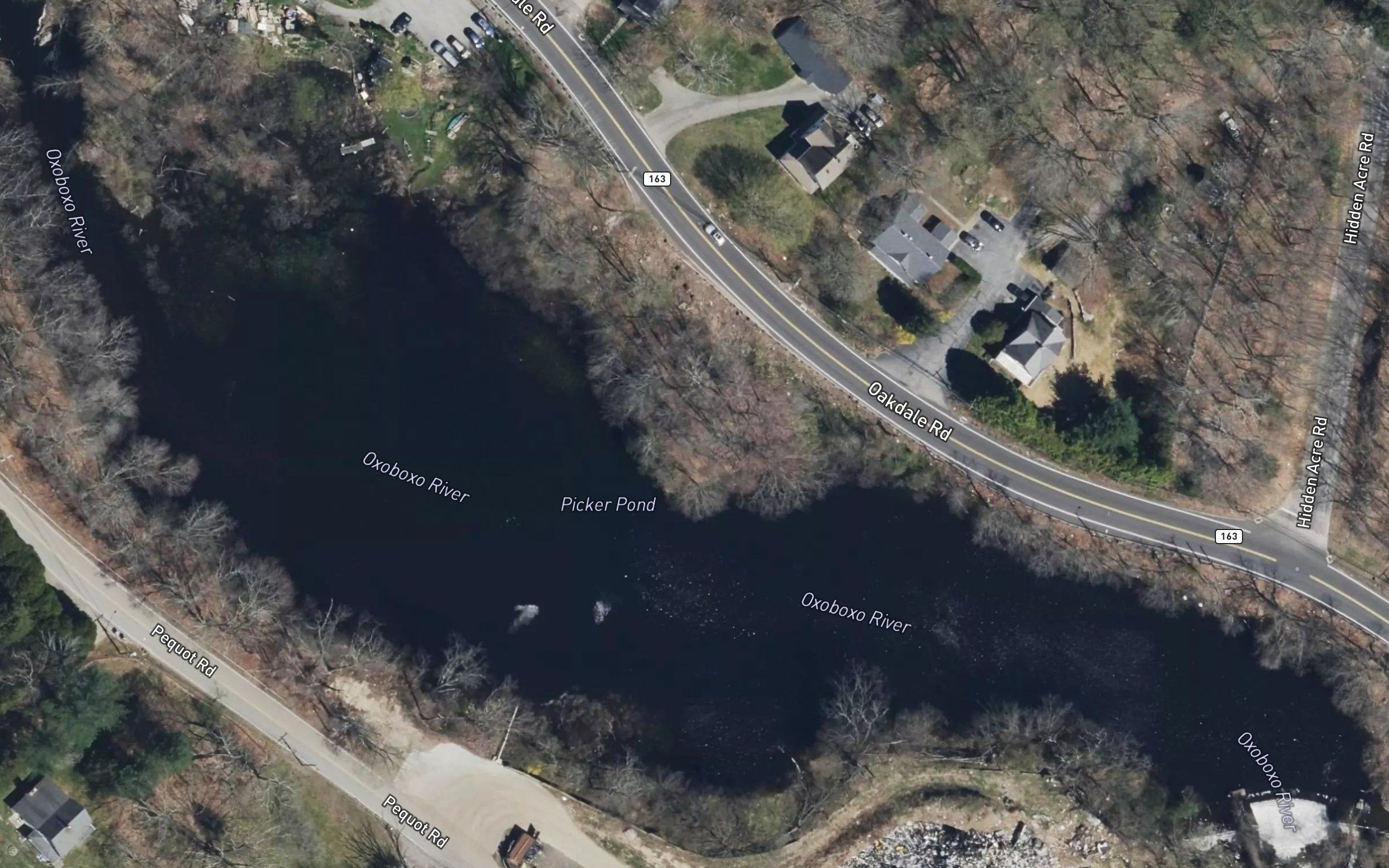 Picker Pond