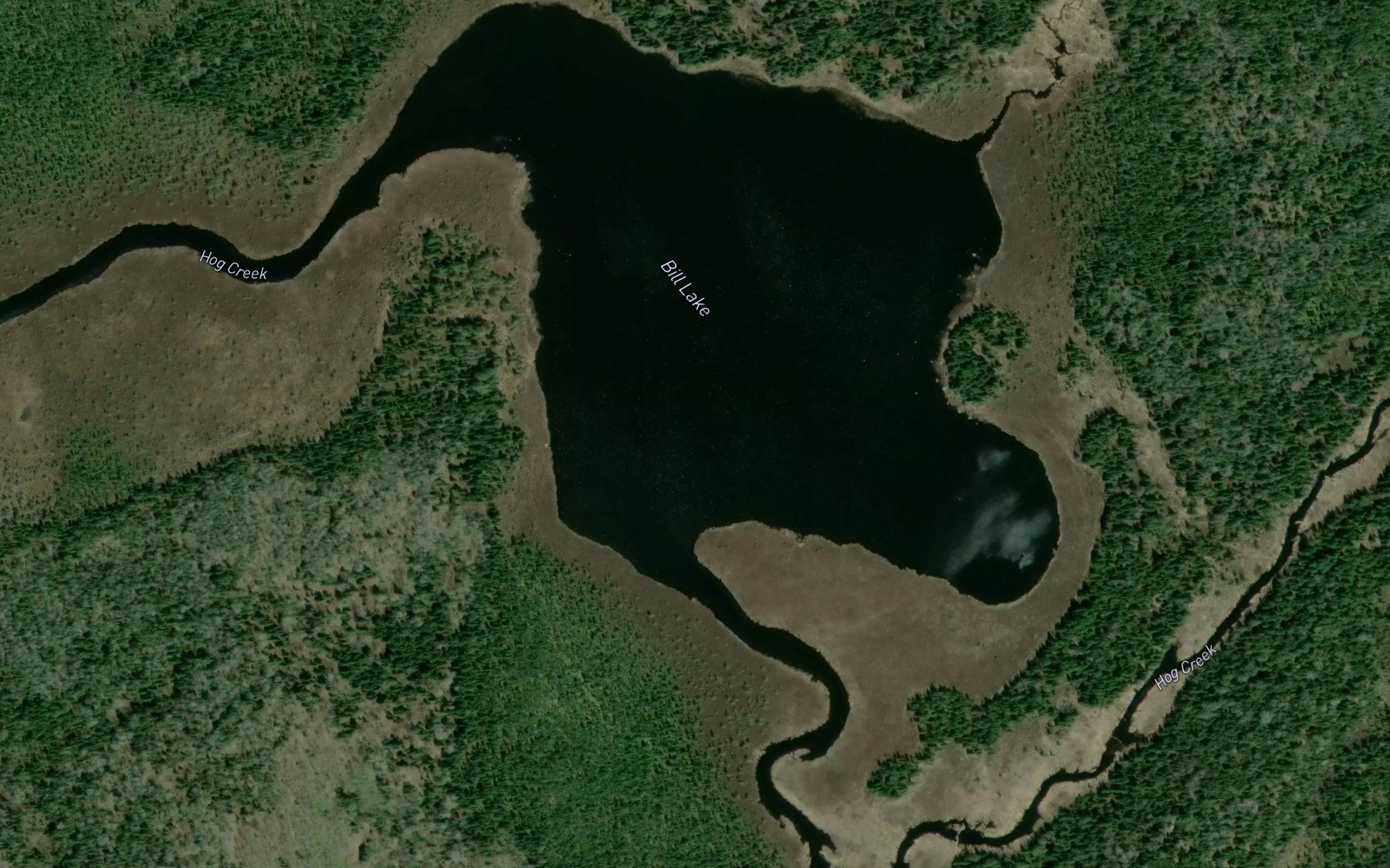 Satellite map of the Bill Lake