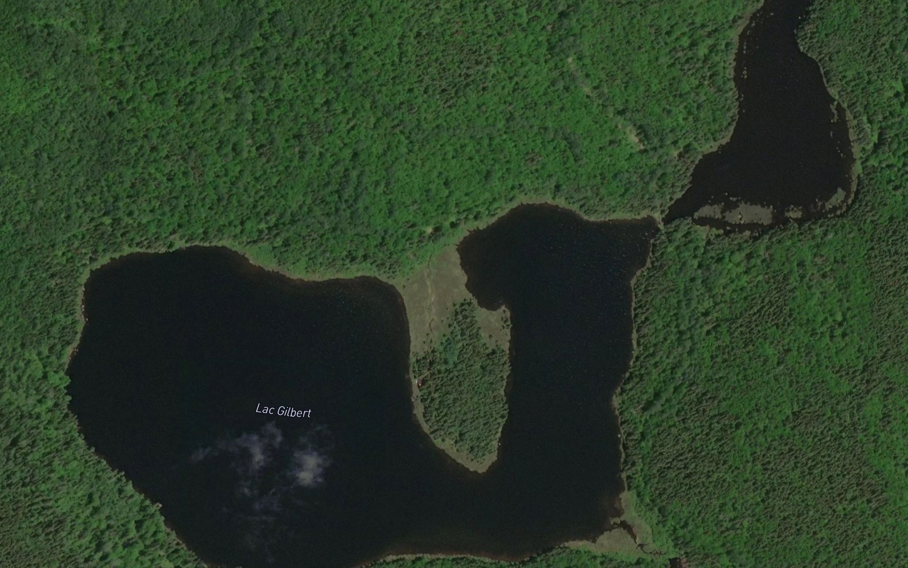 Satellite map of the Lac Gilbert