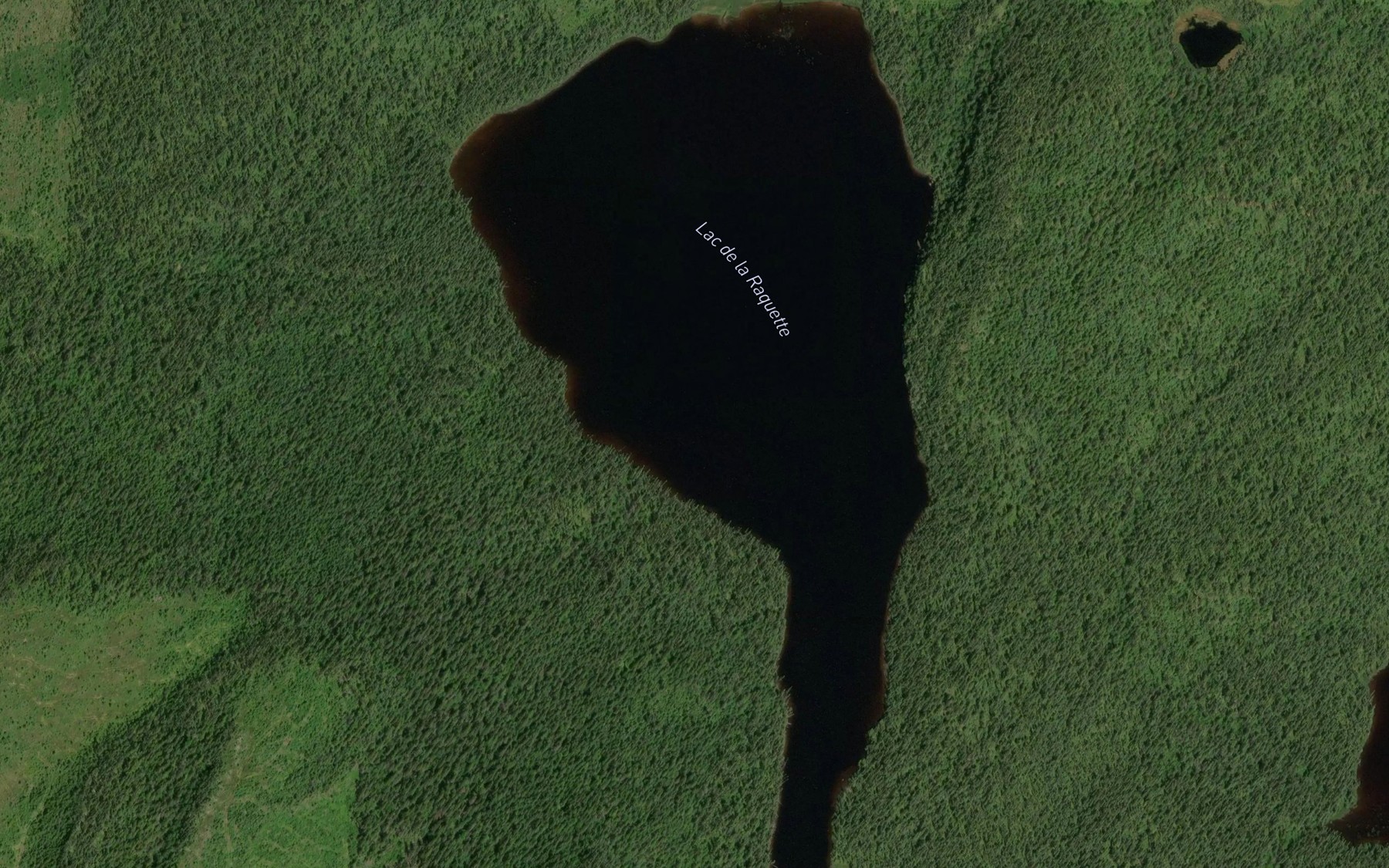 Satellite map of the Lac de la Raquette