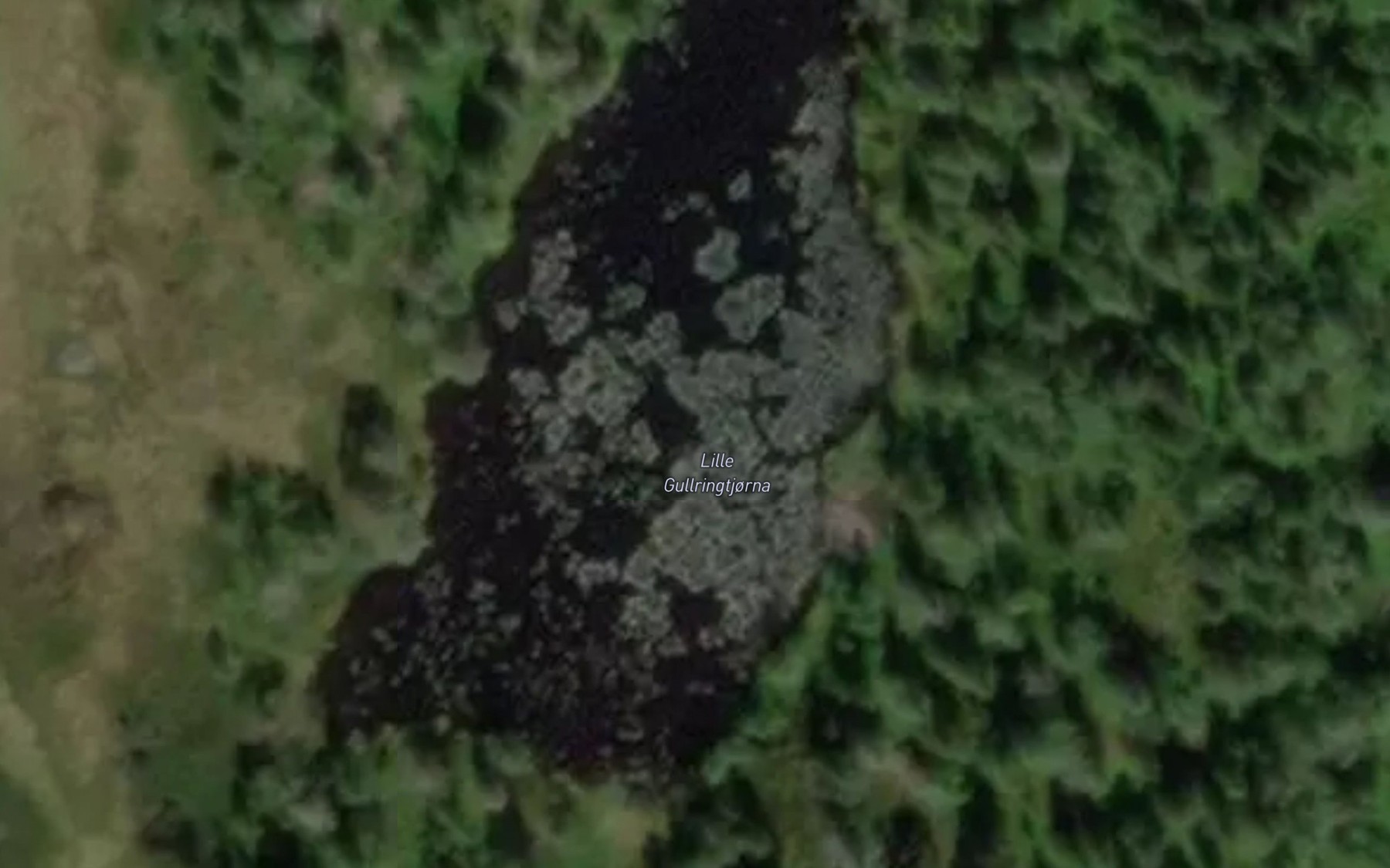 Satellite map of the Lille Gullringtjorna