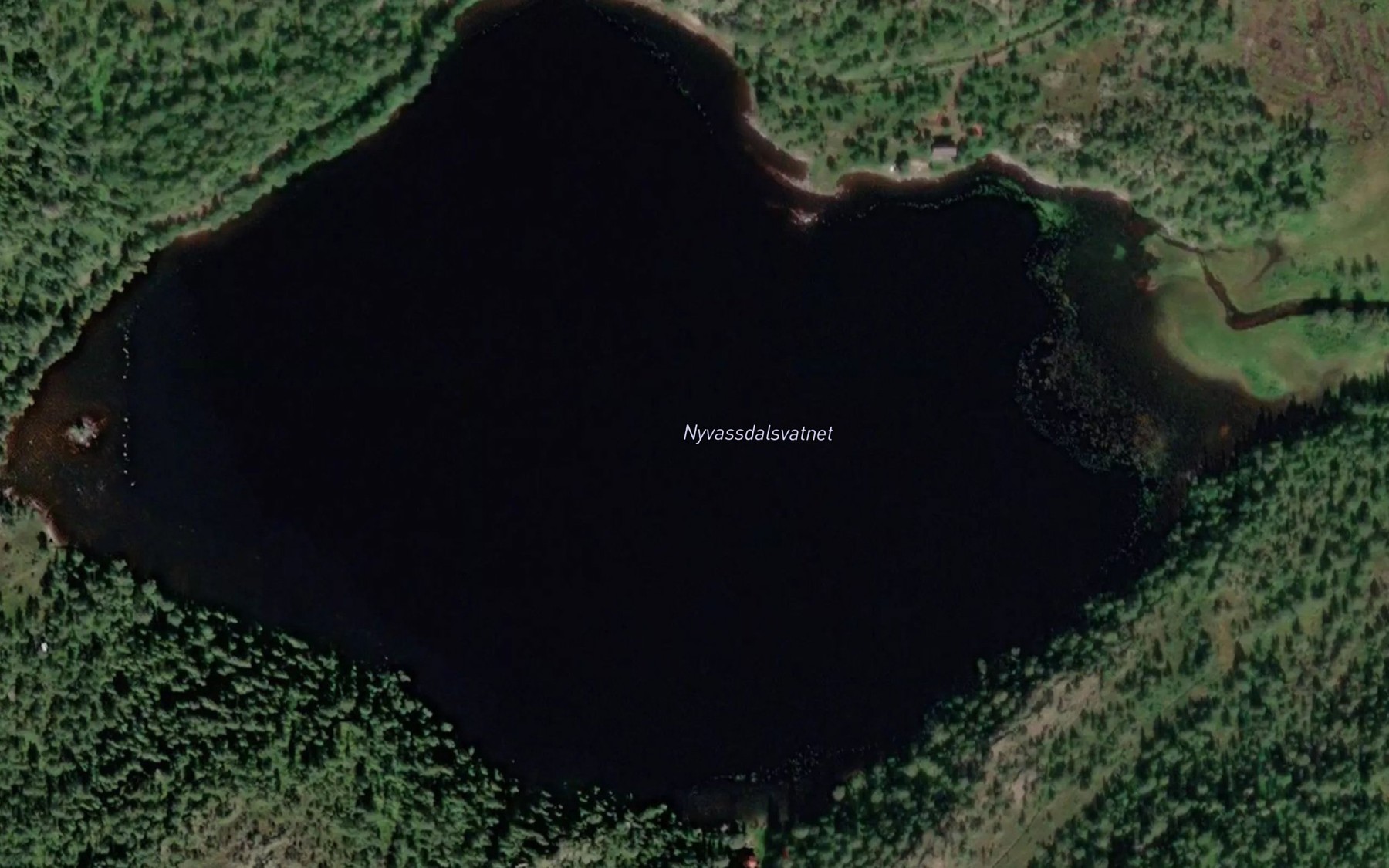 Satellite map of the Nyvassdalsvatnet