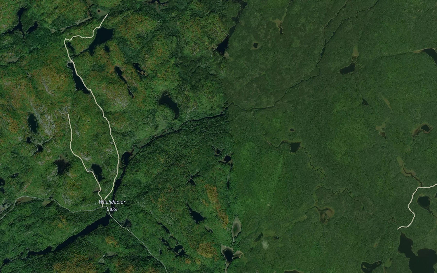 Satellite map of the South Branch Creek