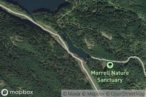 Morrell Lake