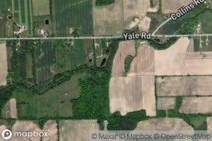 Meharg Drain