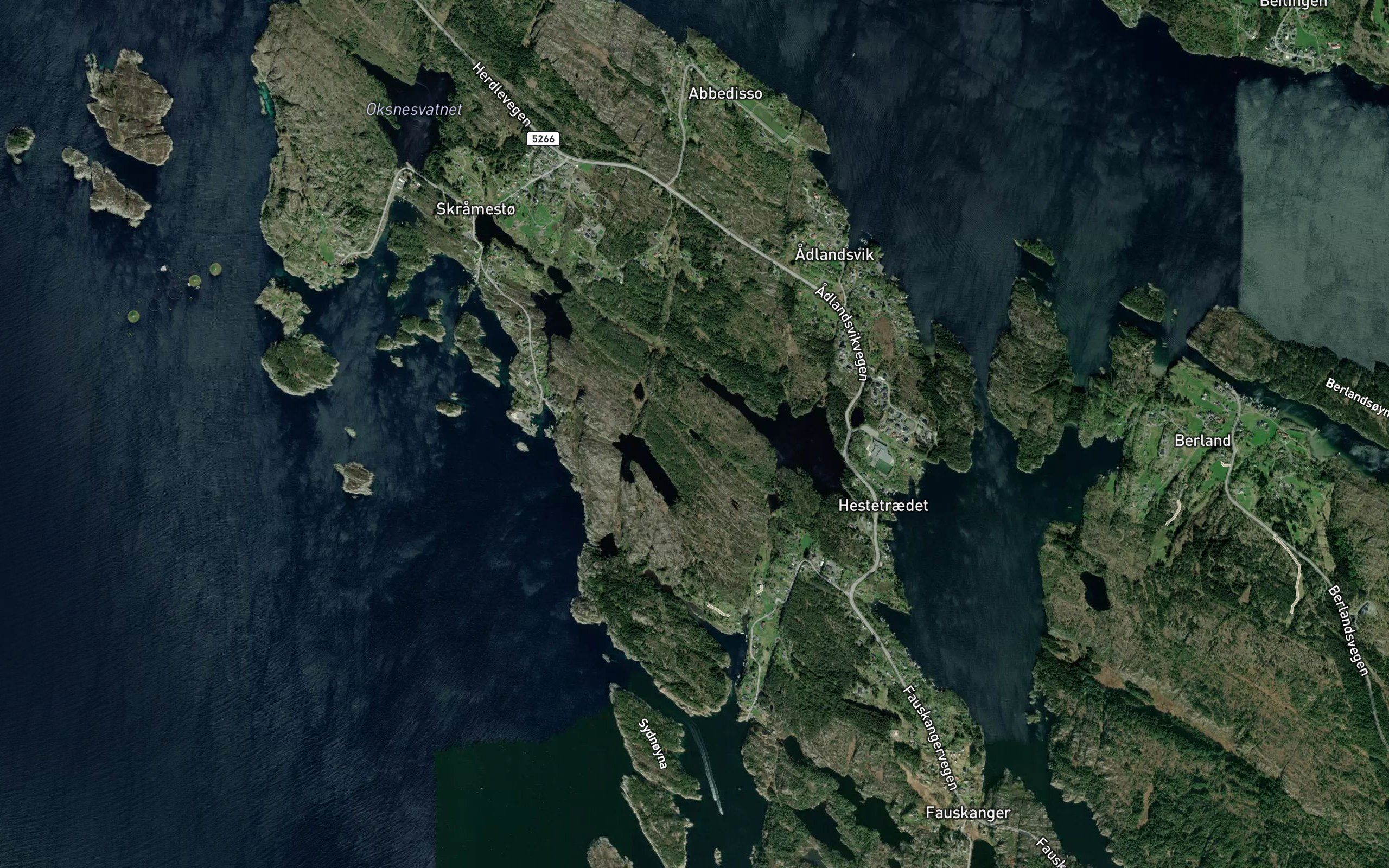 Skogdalstjorn