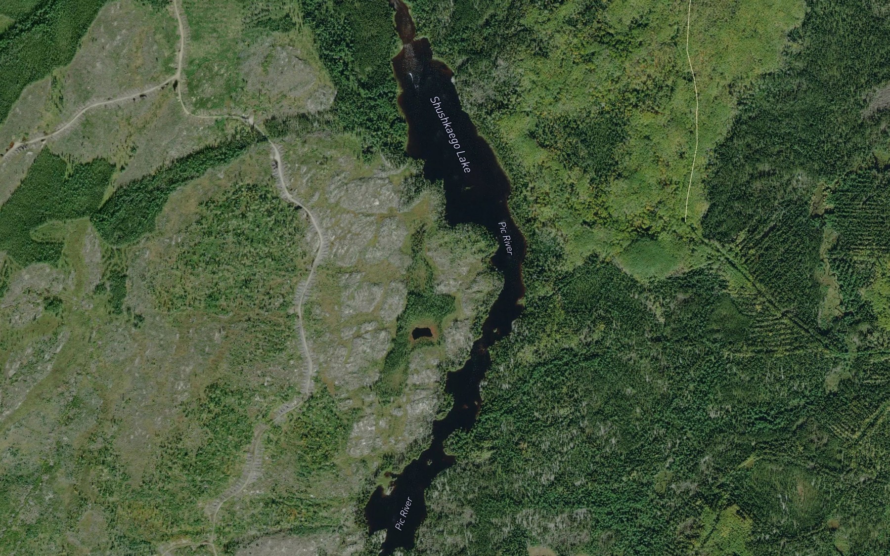 Satellite map of the Shushkaego Lake