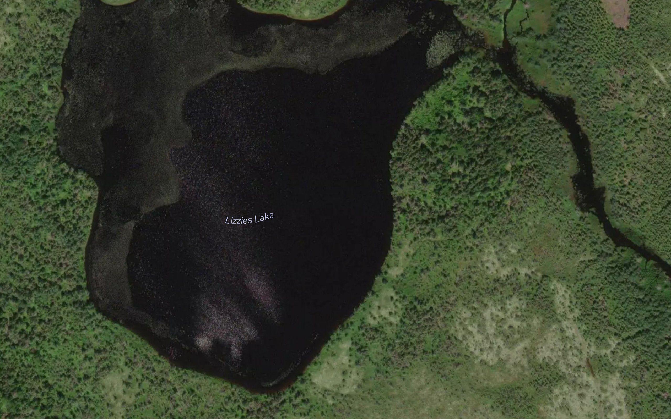 Lizzies Lake