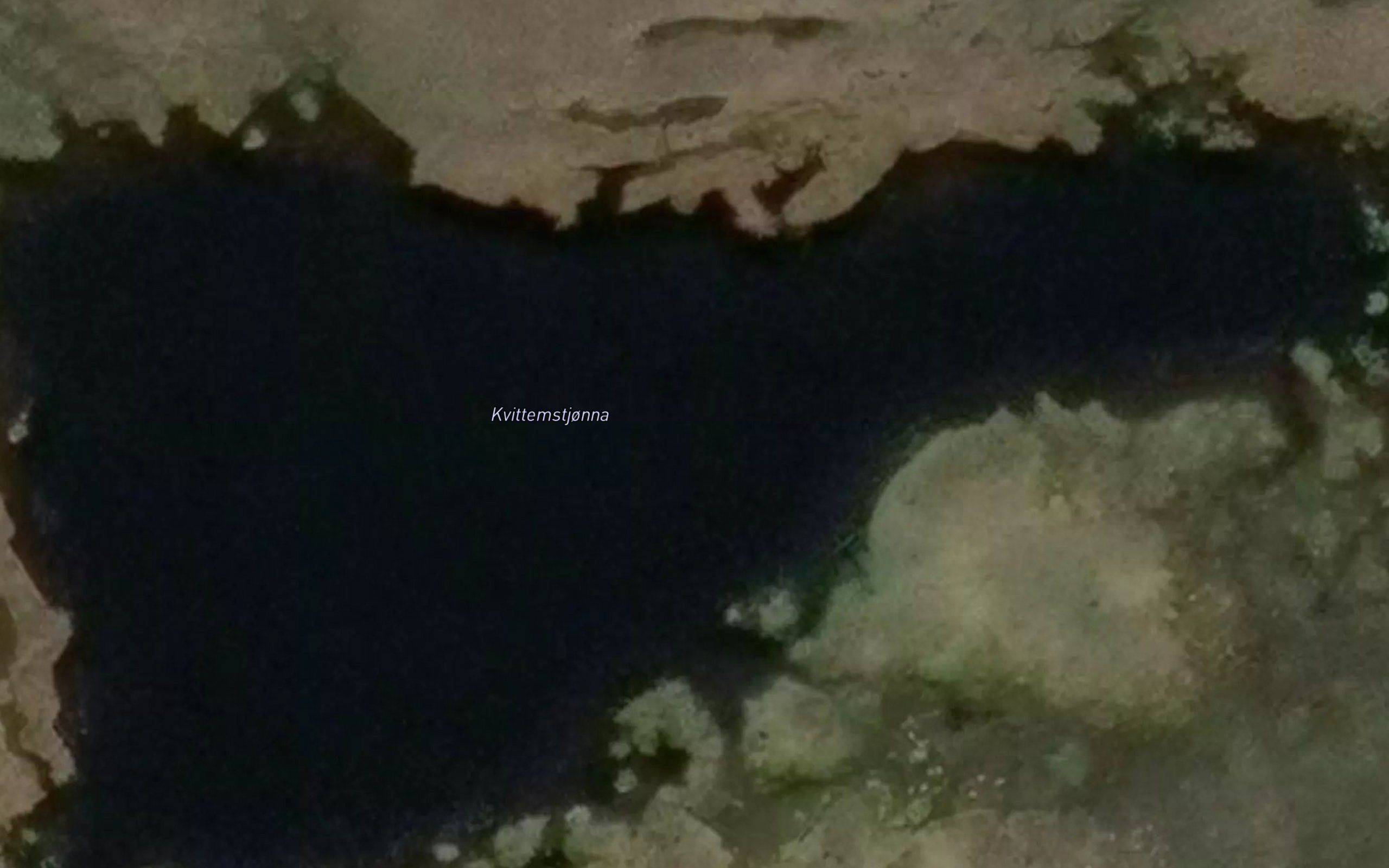 Kvittemstjonna