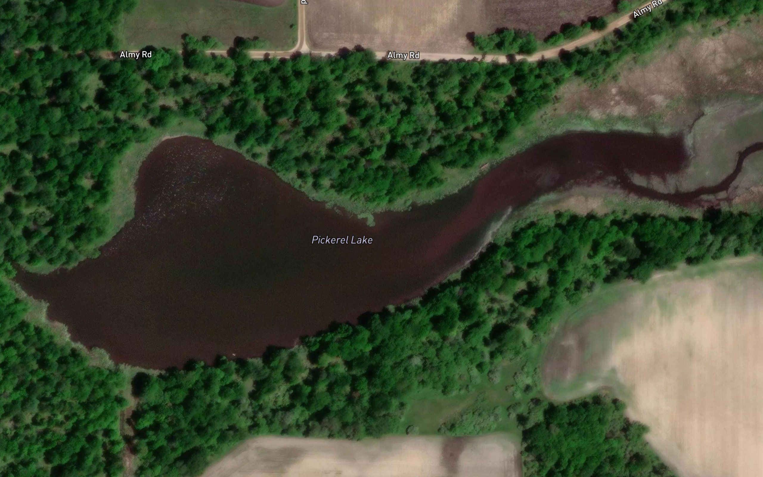 Pickerel Lake