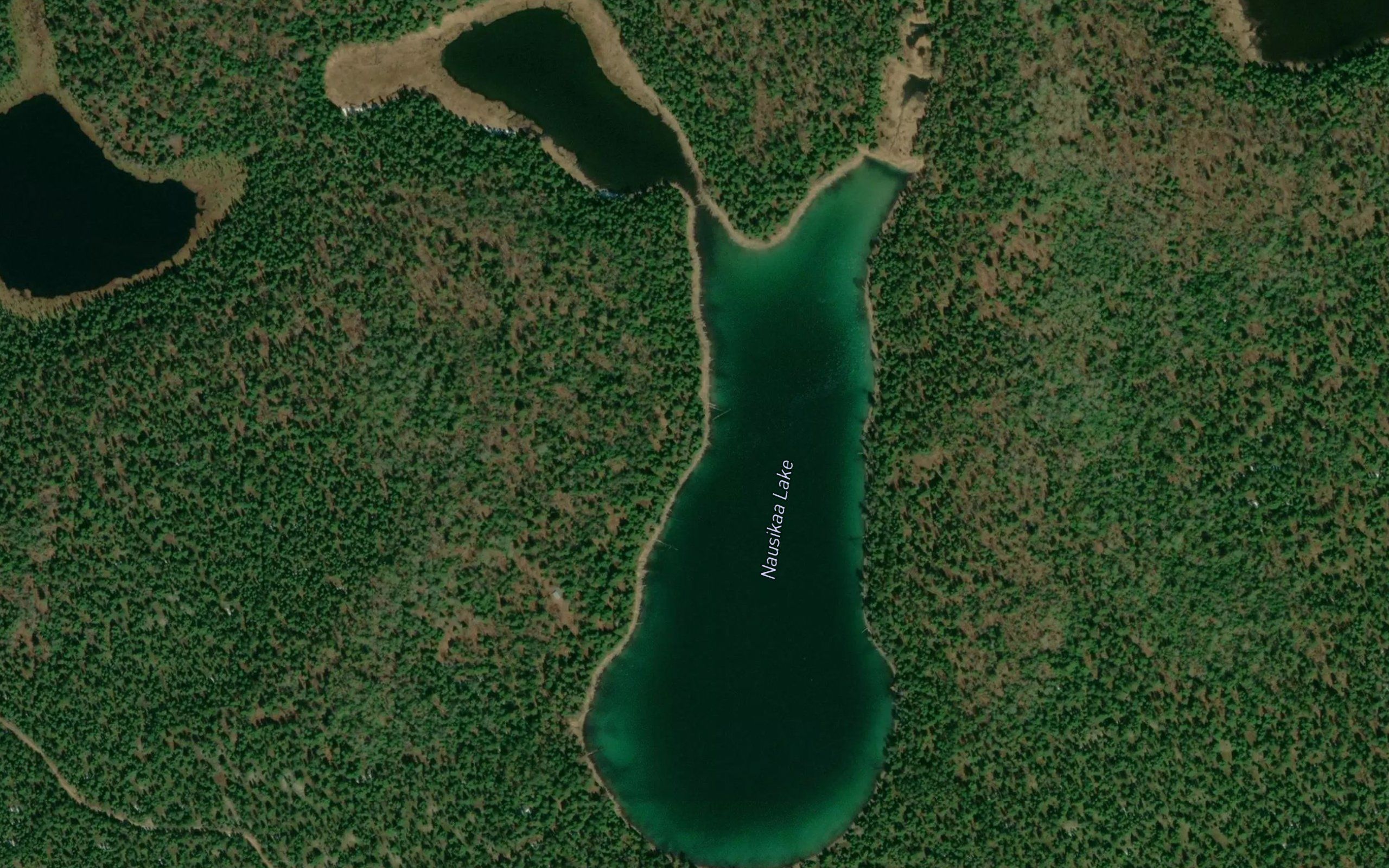 Nausikaa Lake