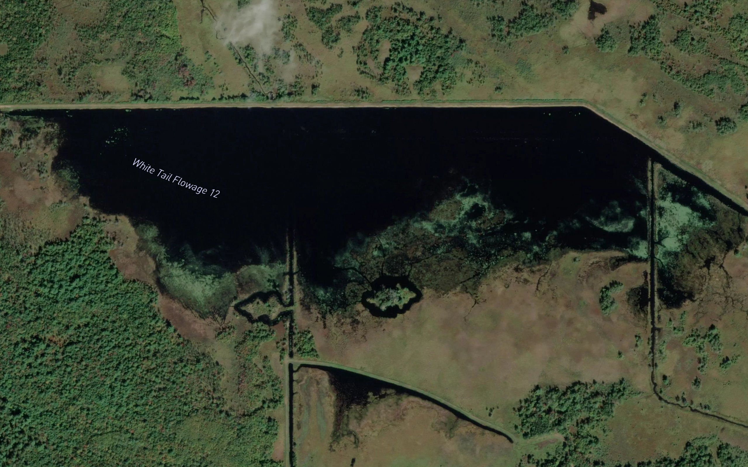 White Tail Flowage