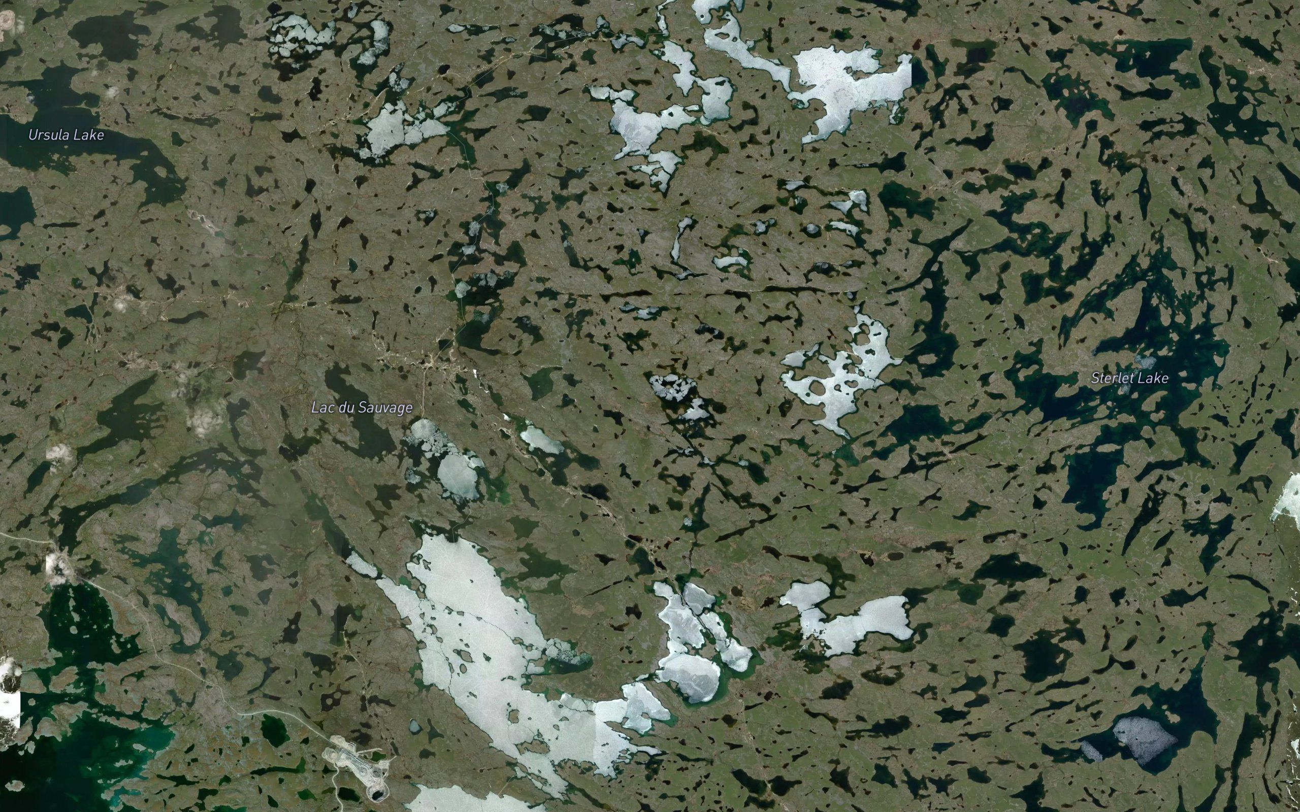 Duchess Lake