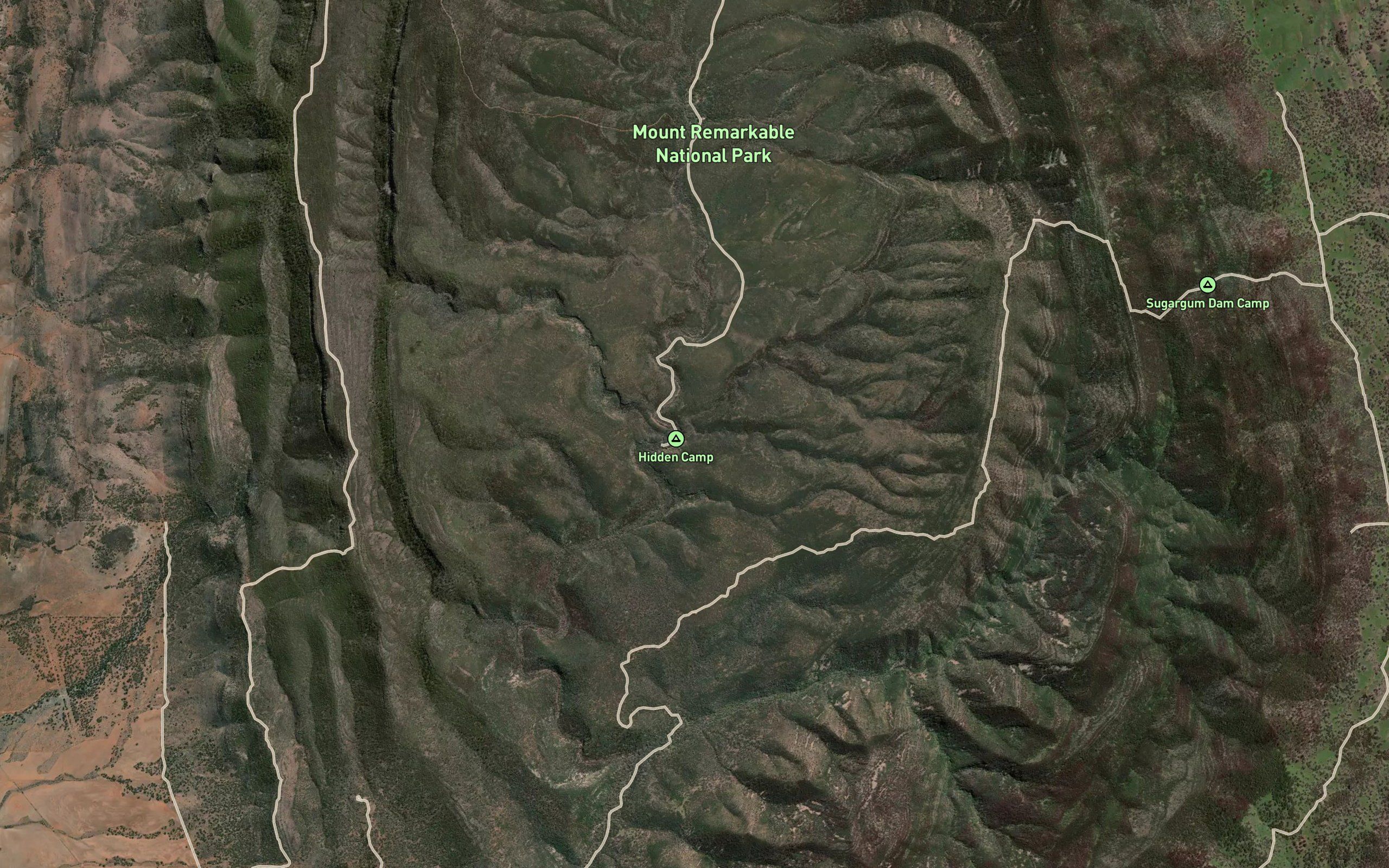 Alligator Creek