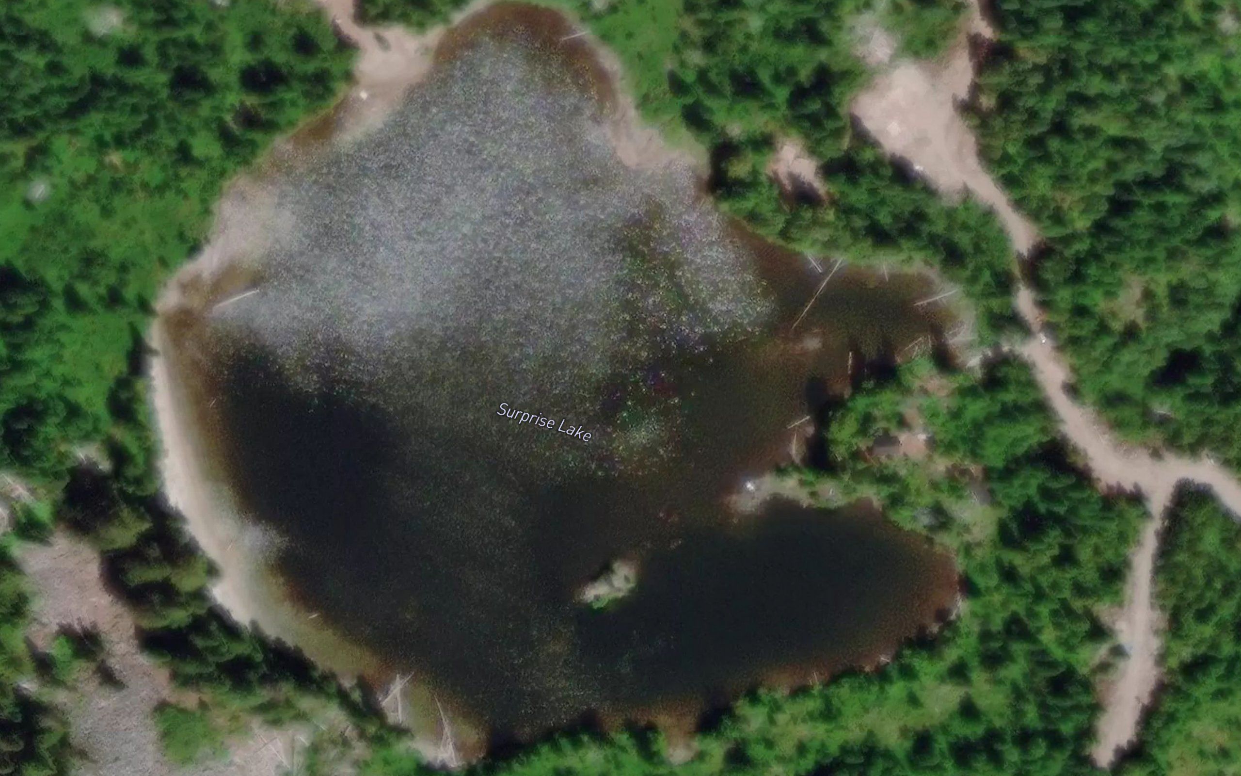 Surprise Lake