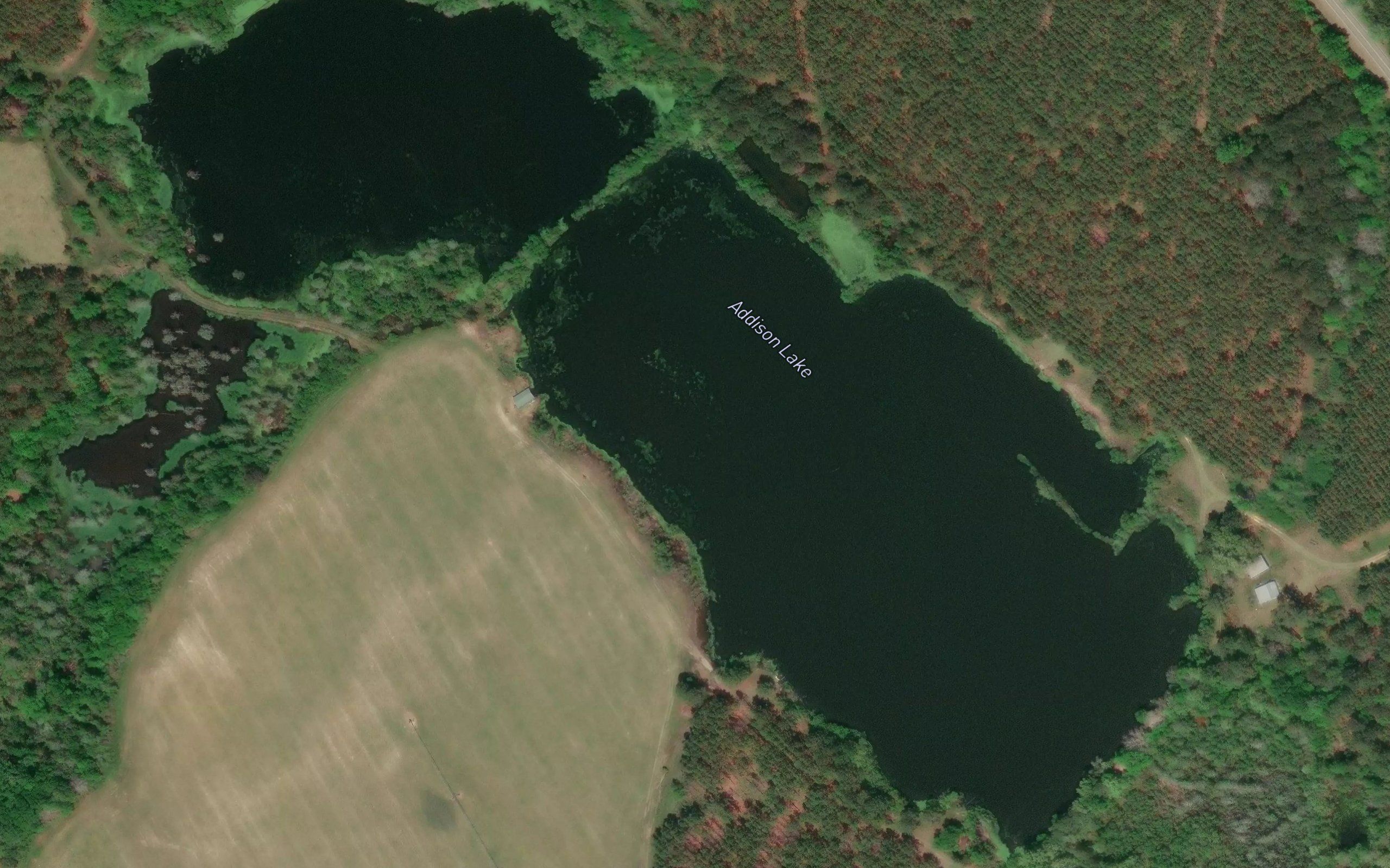 Addison Lake