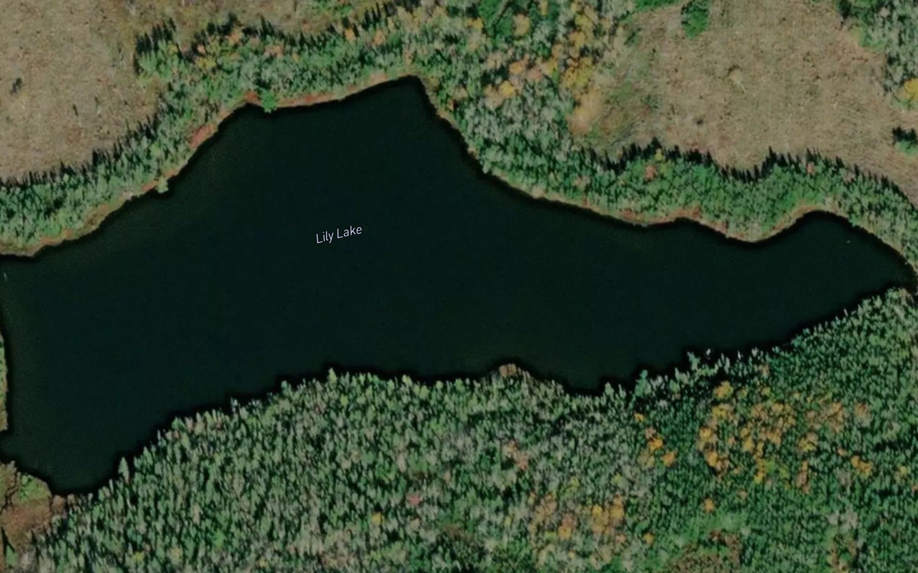 Satellite map of the Lily Lake