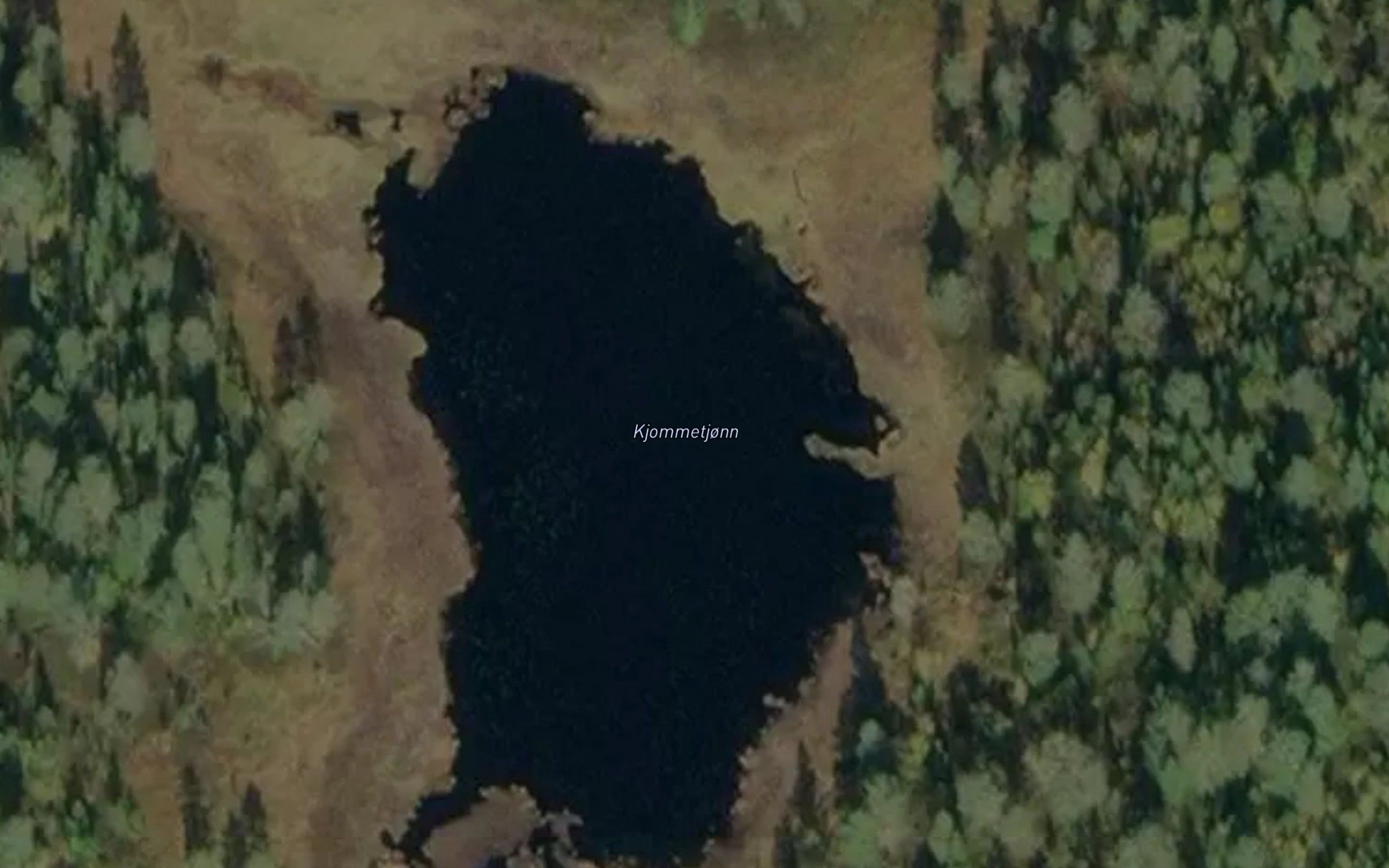 Kjommetjorni