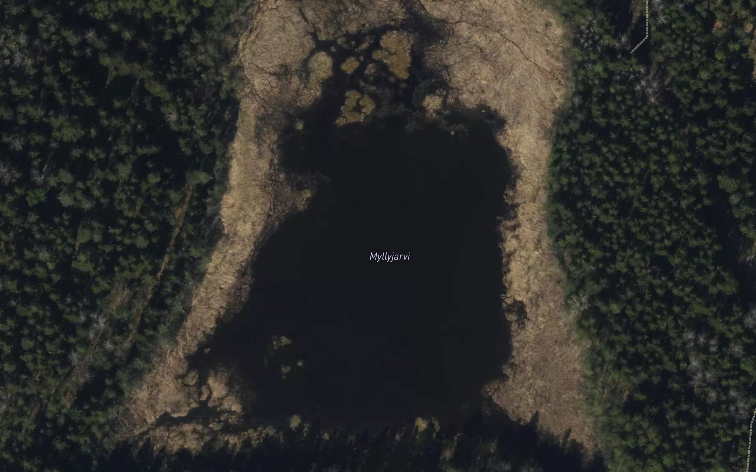 Kvarntrask