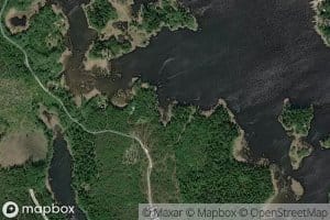 Saltingsviken