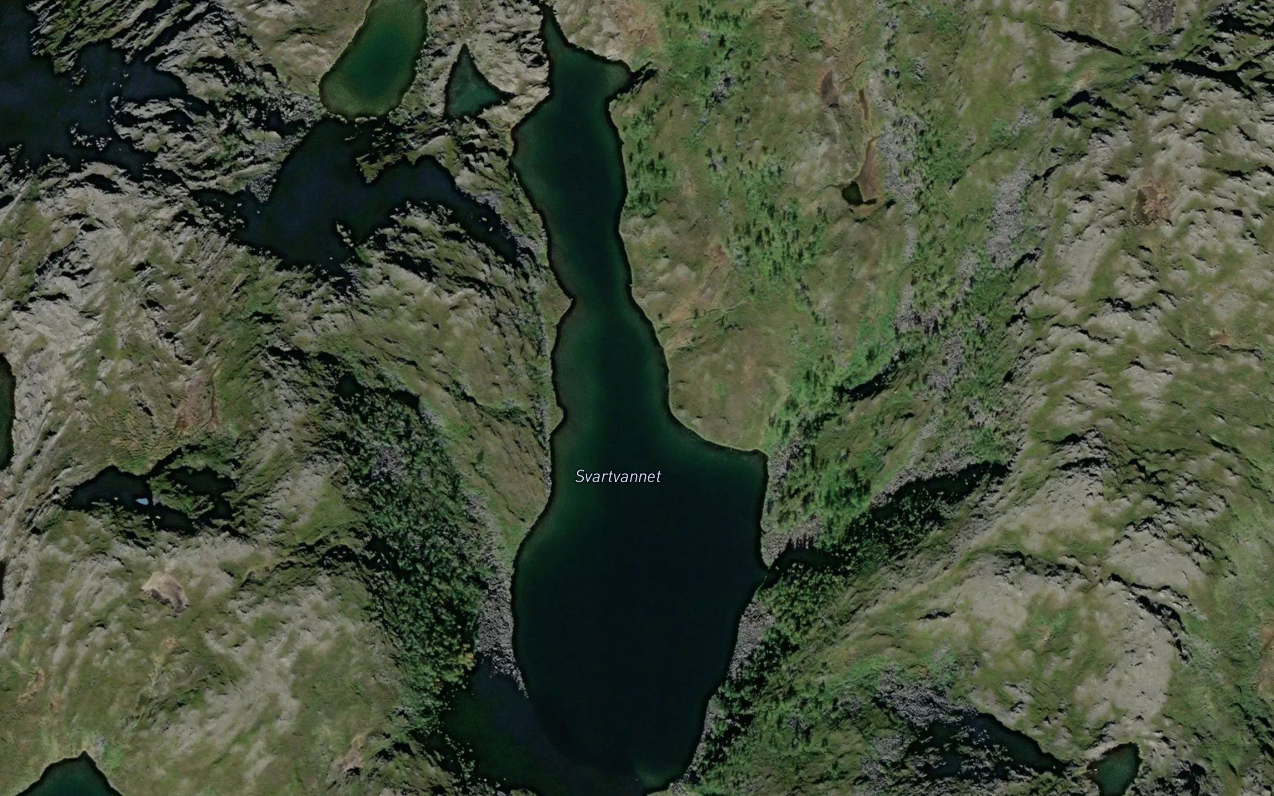 Svartvatnet