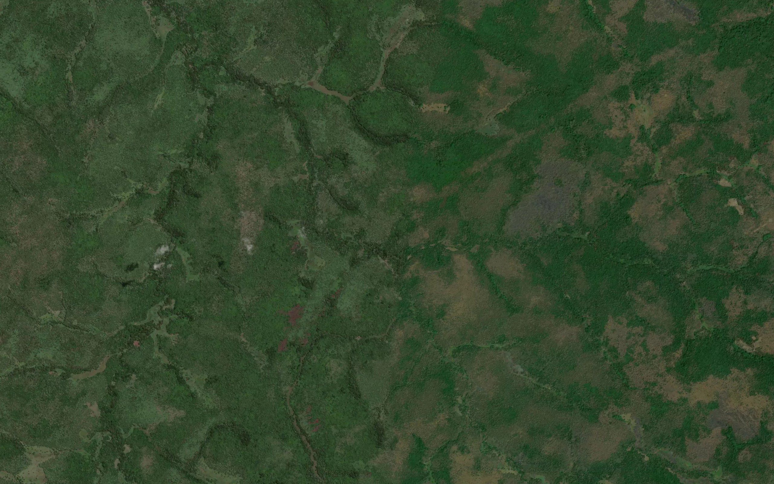 Kazomva