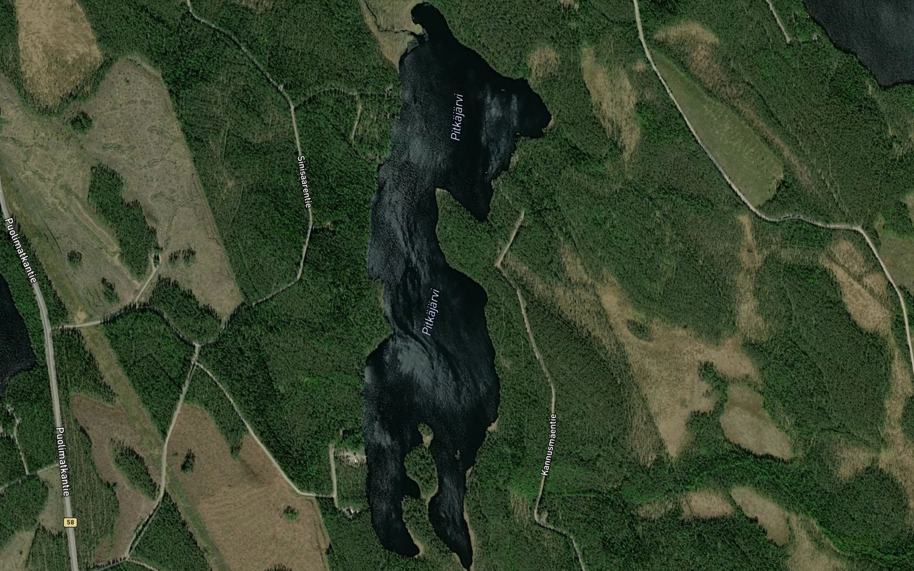 Satellite map of the Pitkajarvi