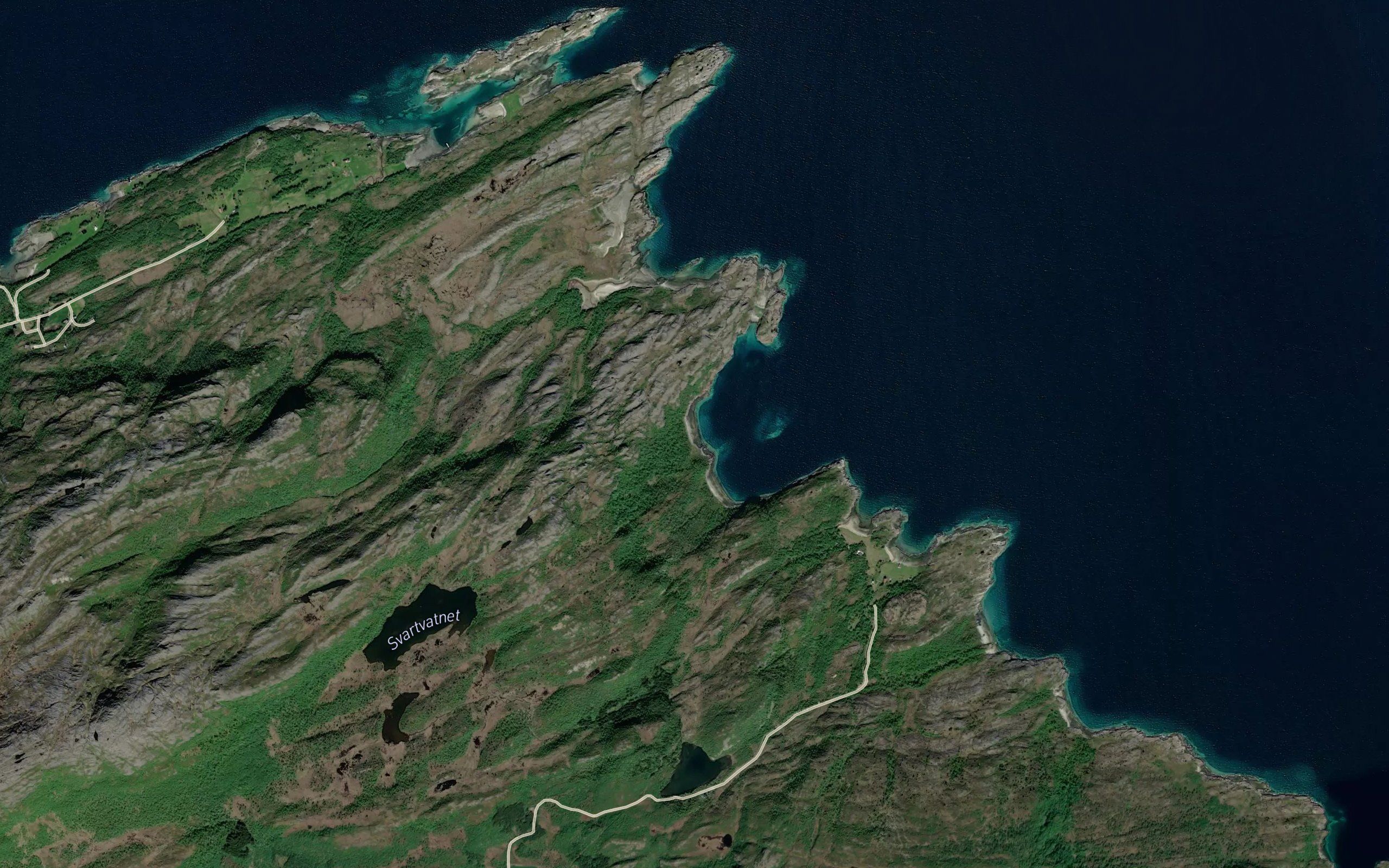 Ytterhestvika