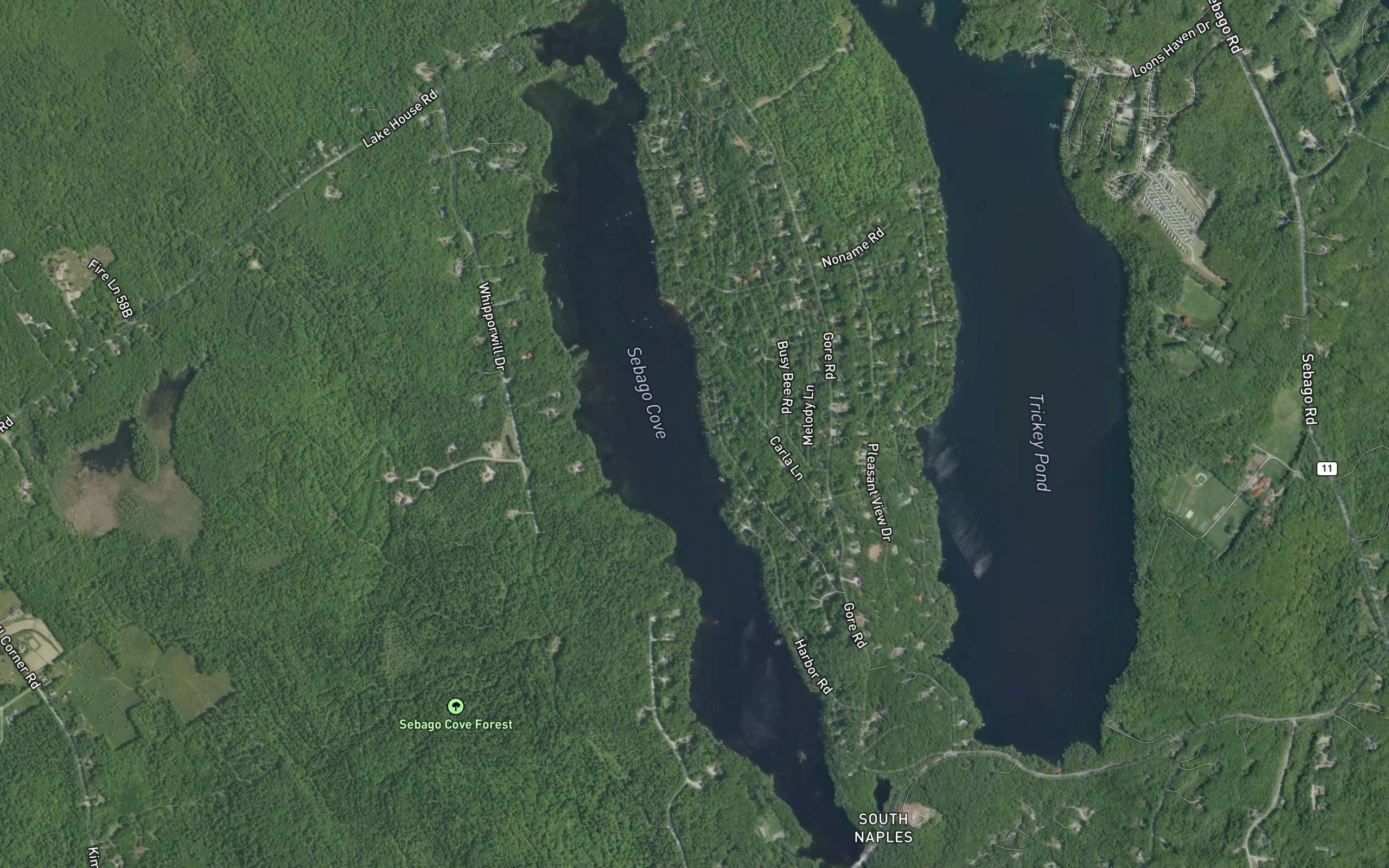 Sebago Cove