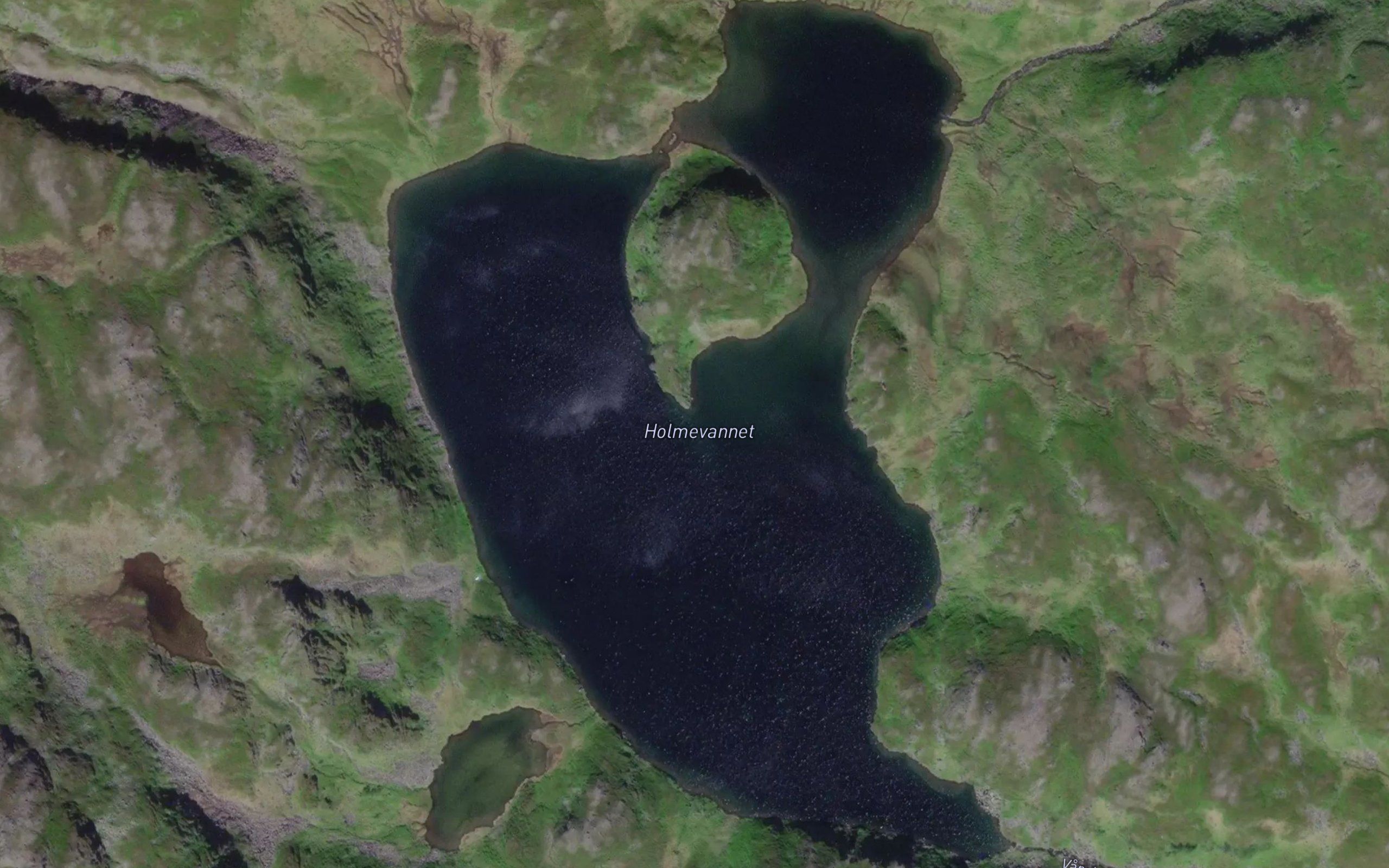 Holmevatnet