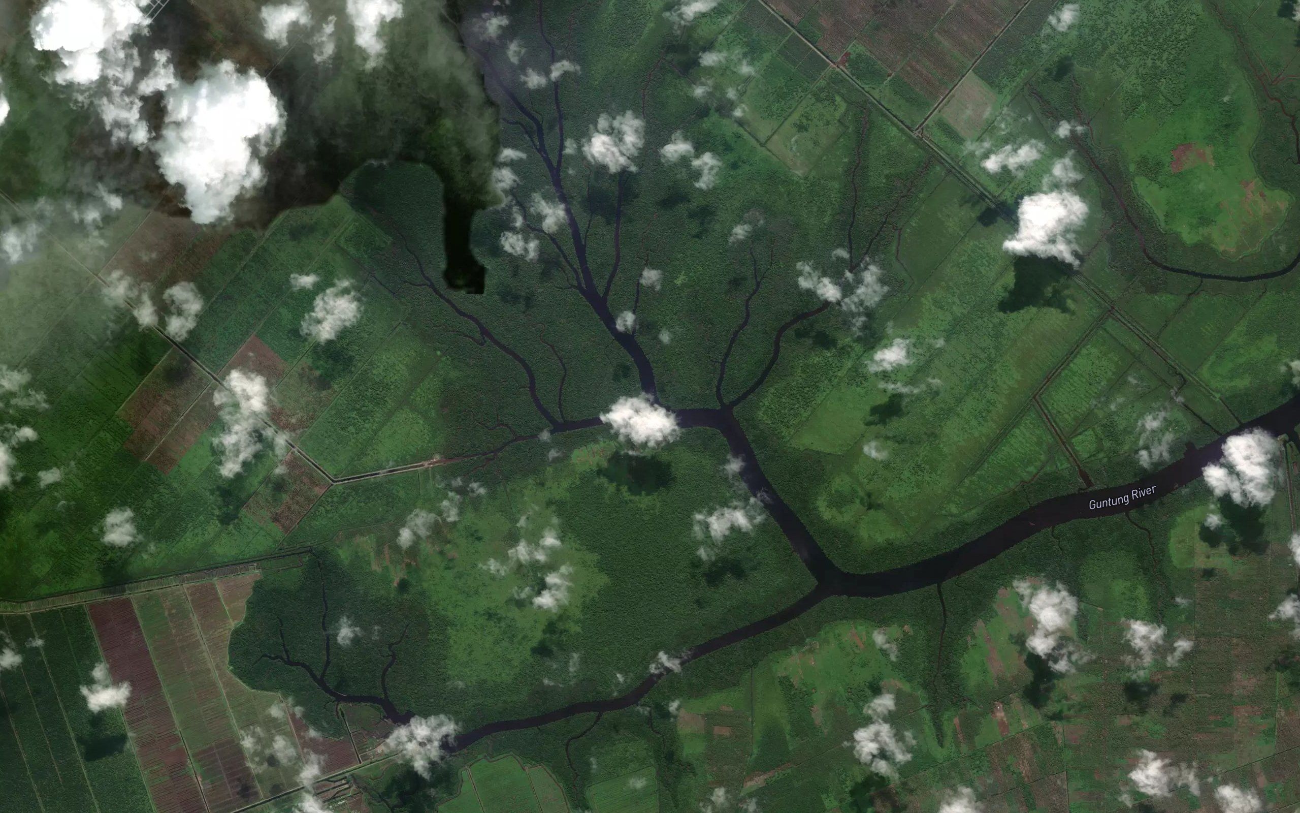Sungai Saka Dayak