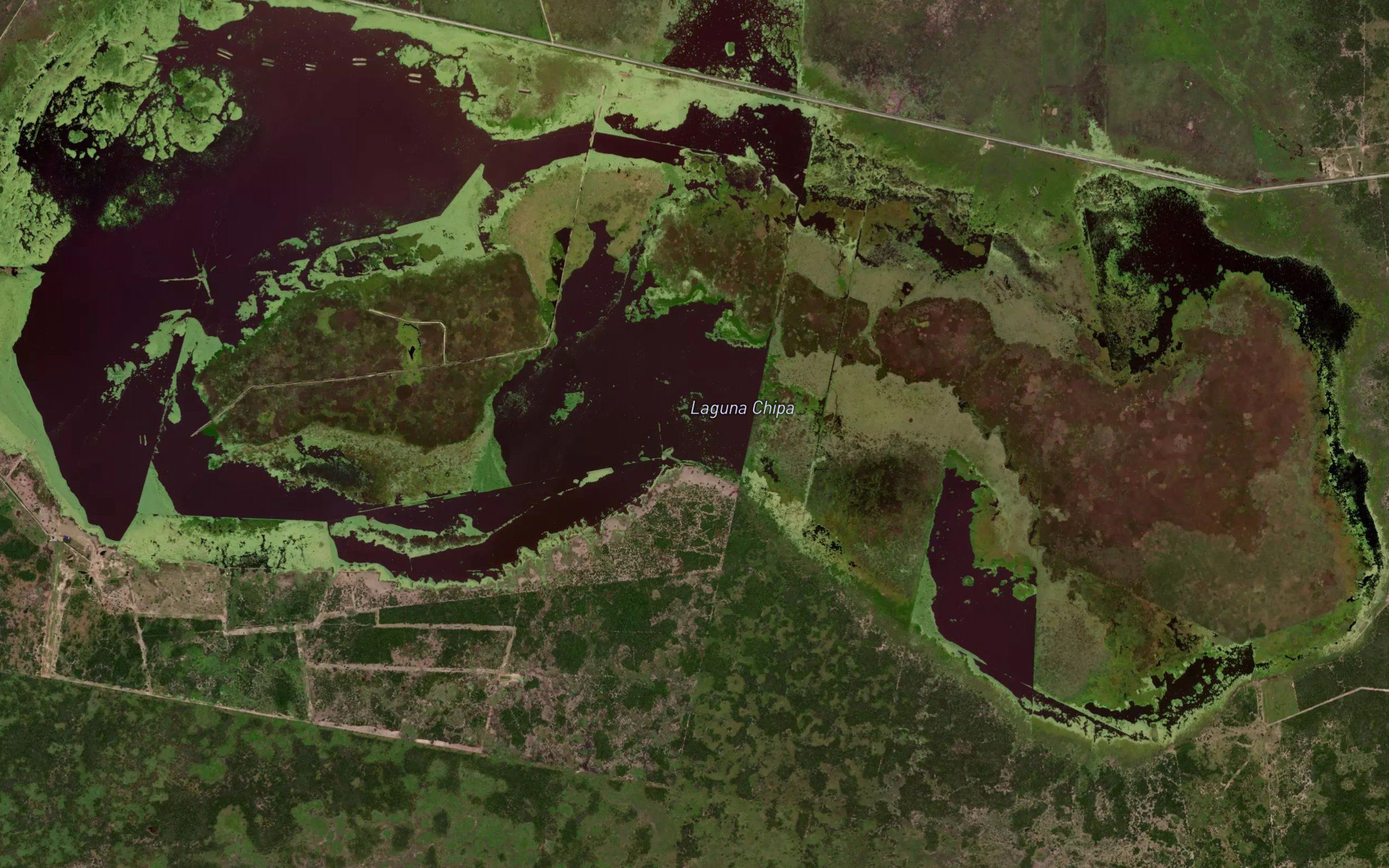 Estero Chipa