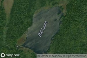Bill Lake