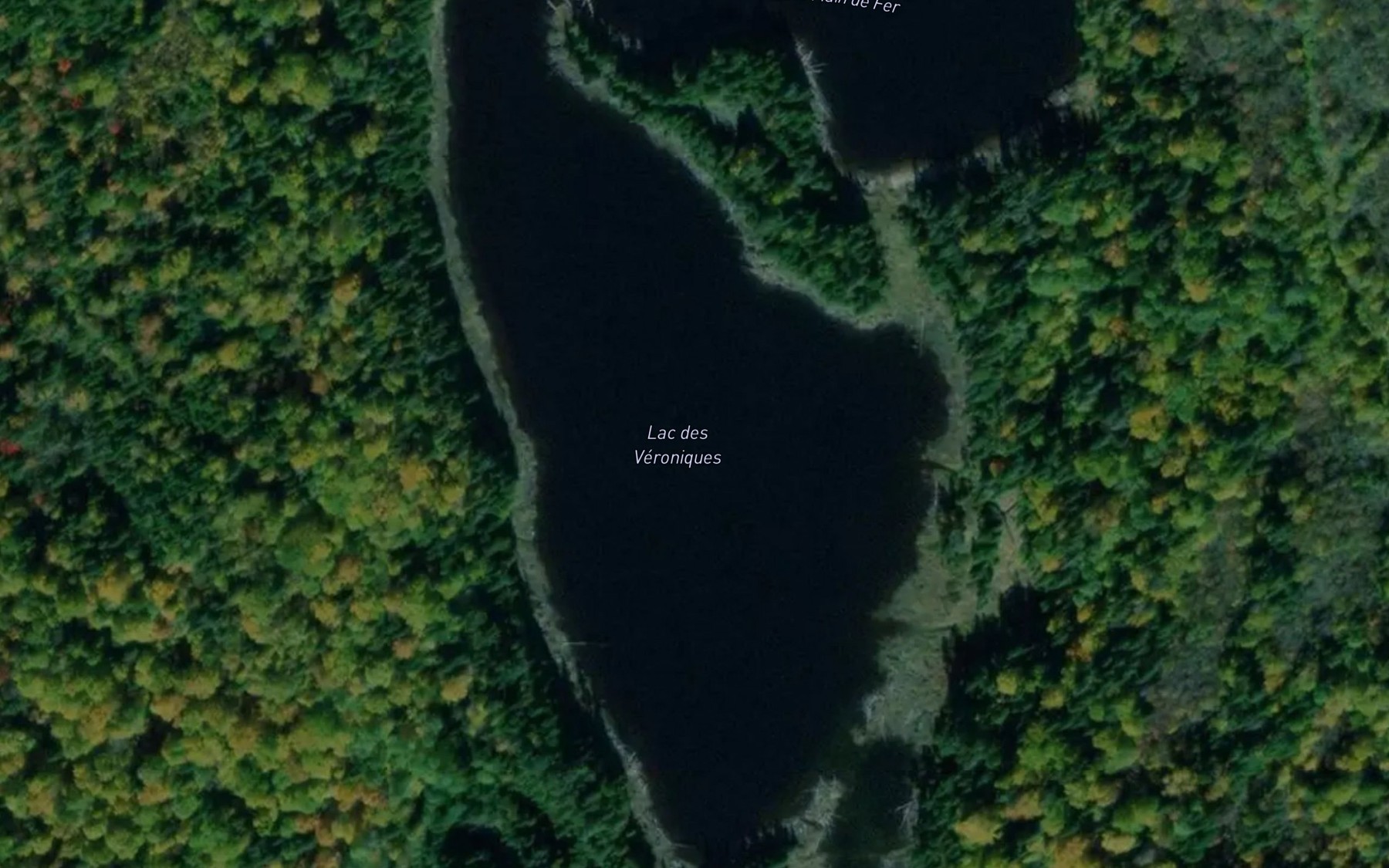 Satellite map of the Lac des Veroniques