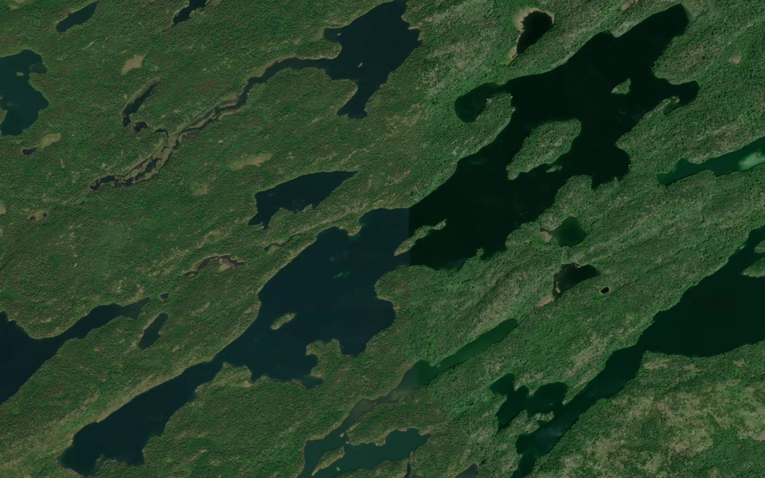 That Man Lake