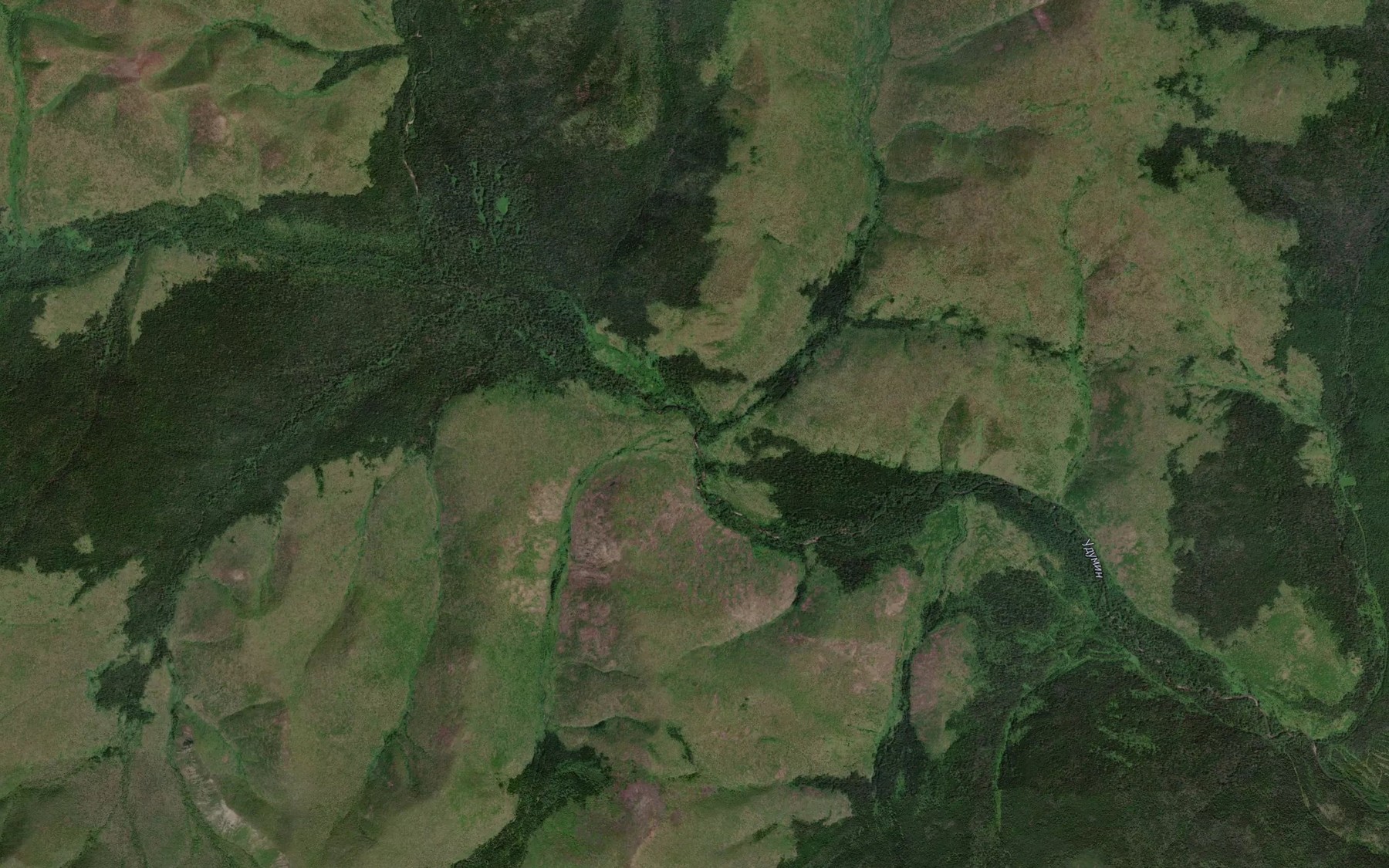 Satellite map of the Dremuchiy