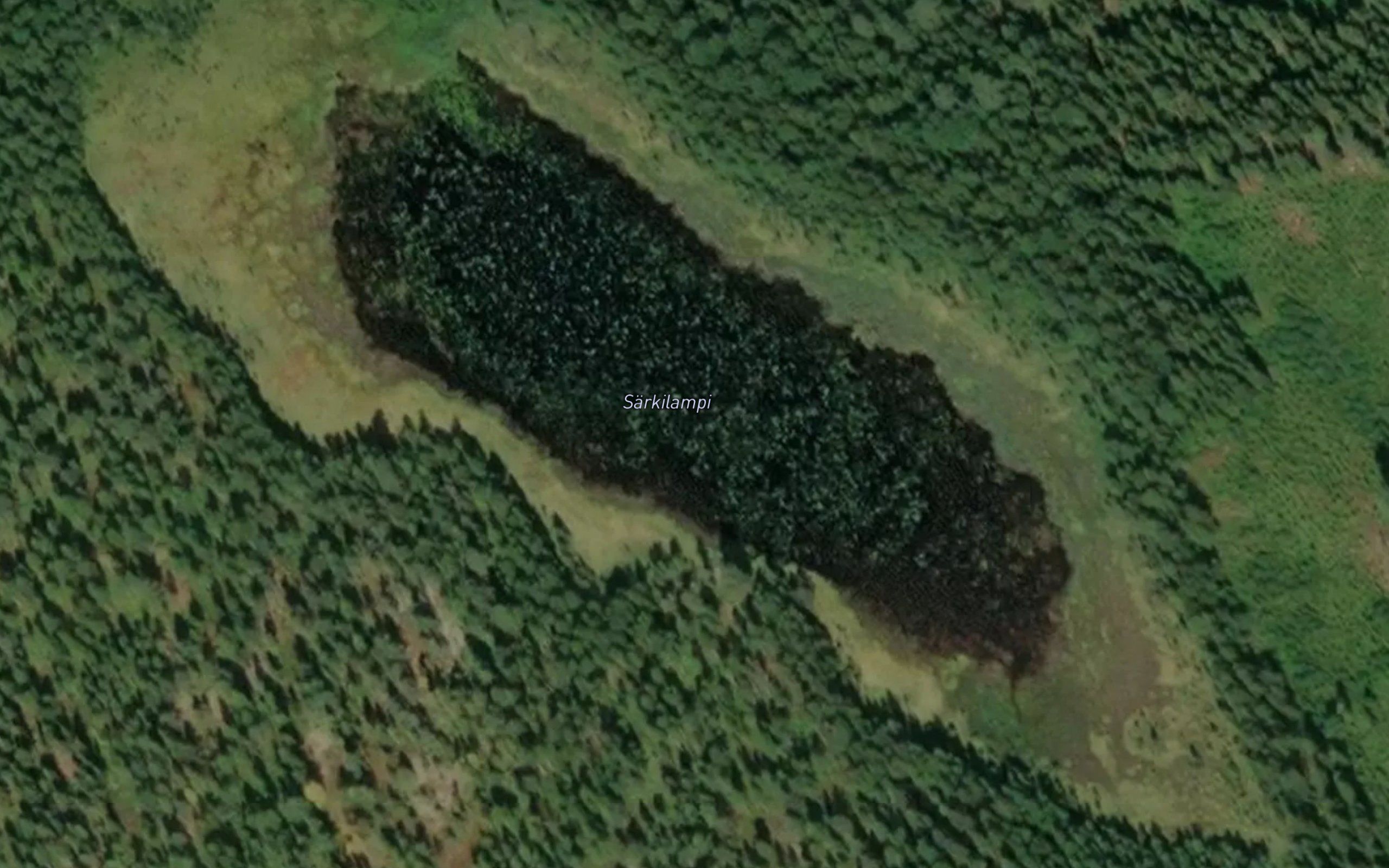 Sarkilampi