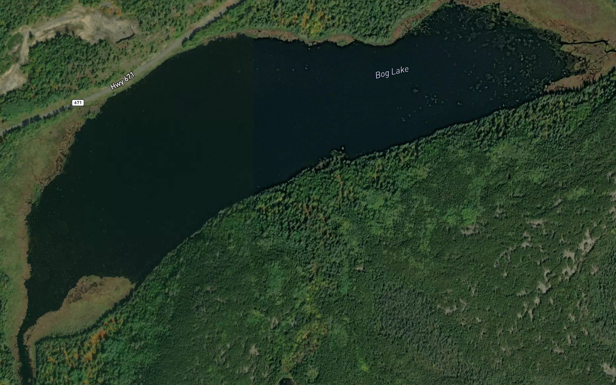 Bog Lake