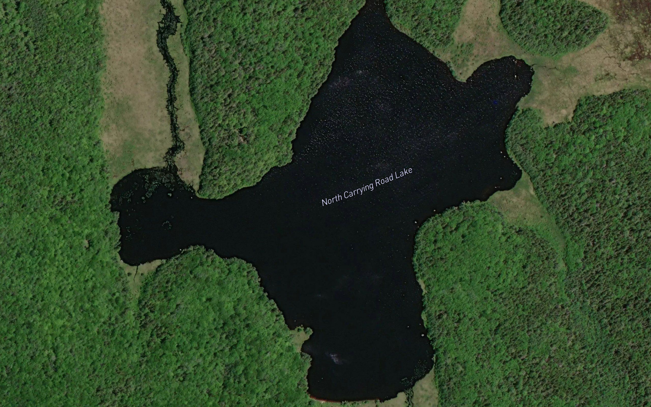 North Carrying Road Lake