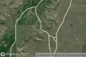 Zenor Spring