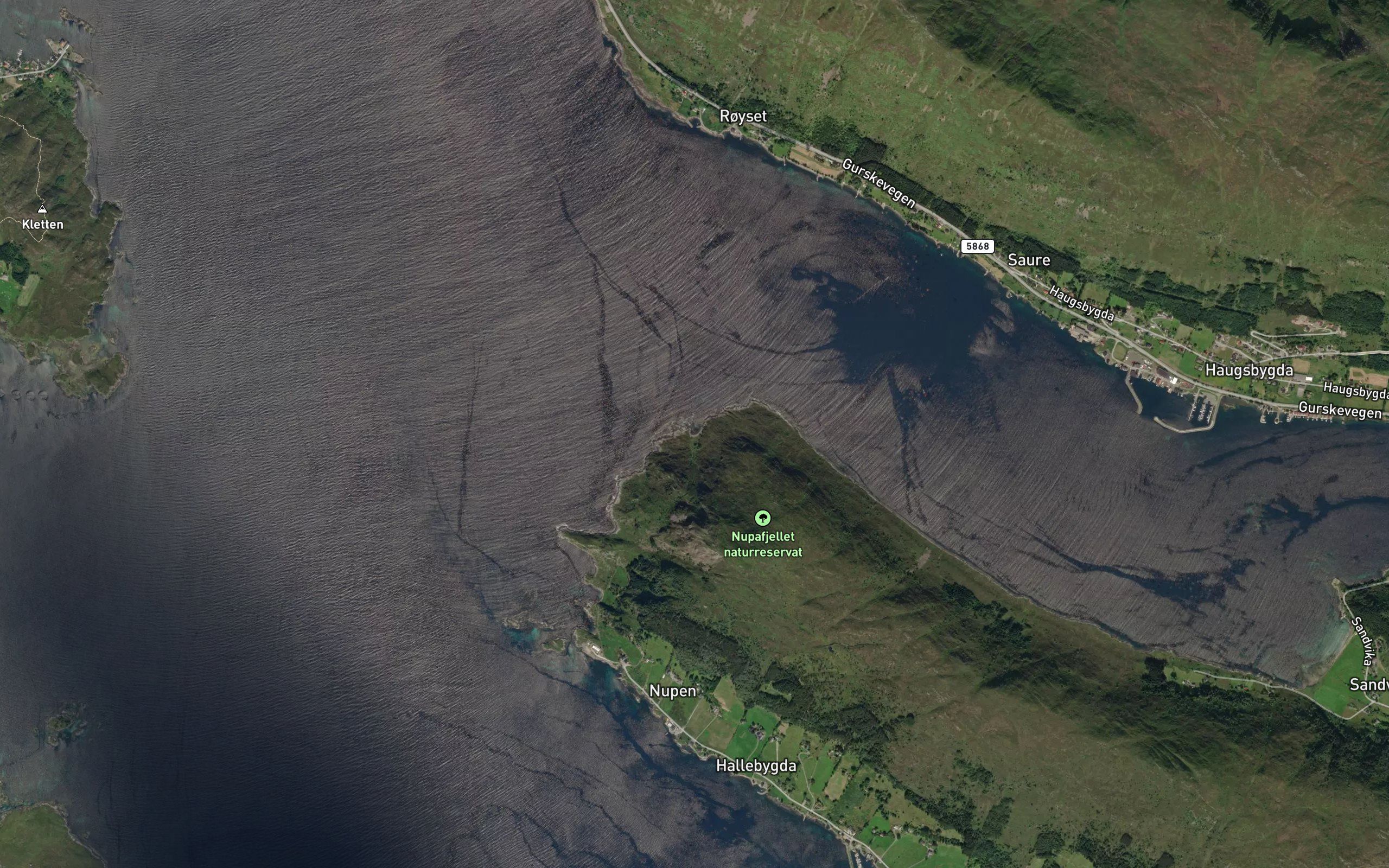 Gronevika