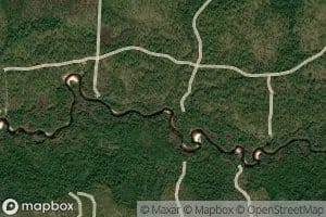 Coon Camp Branch