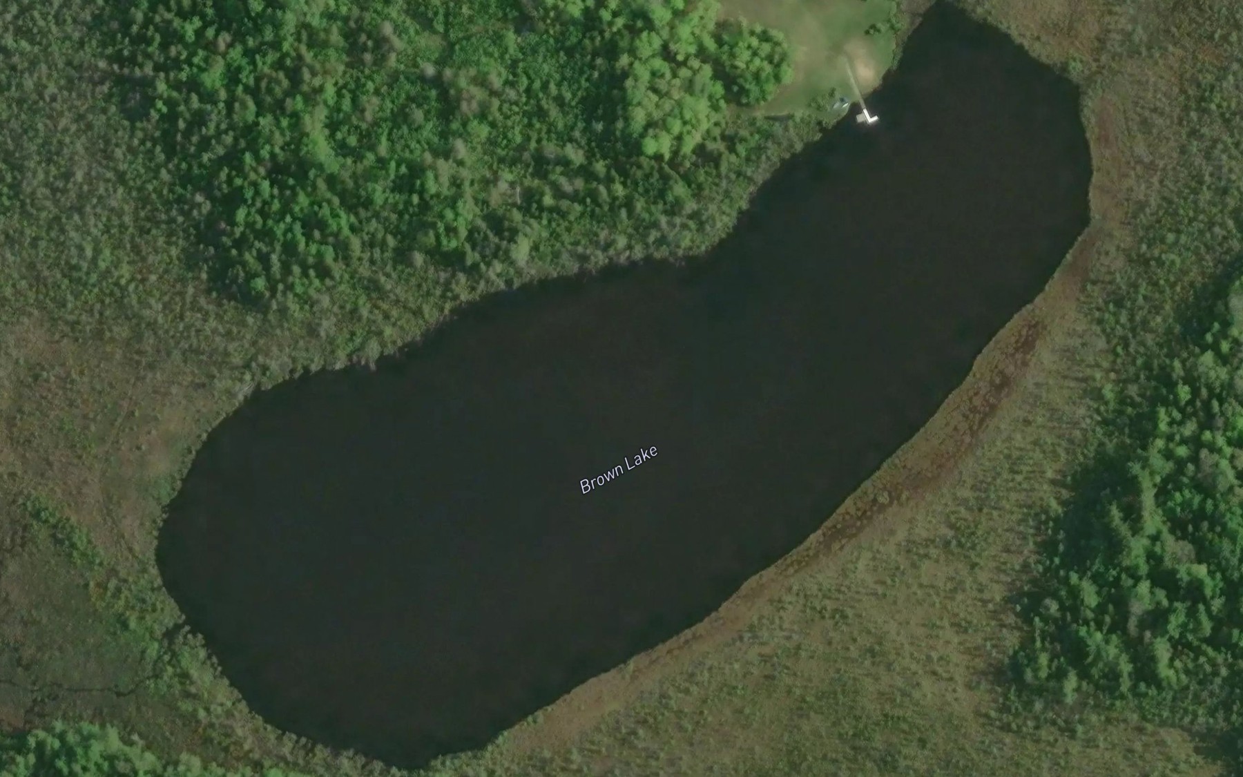 Satellite map of the Brown Lake