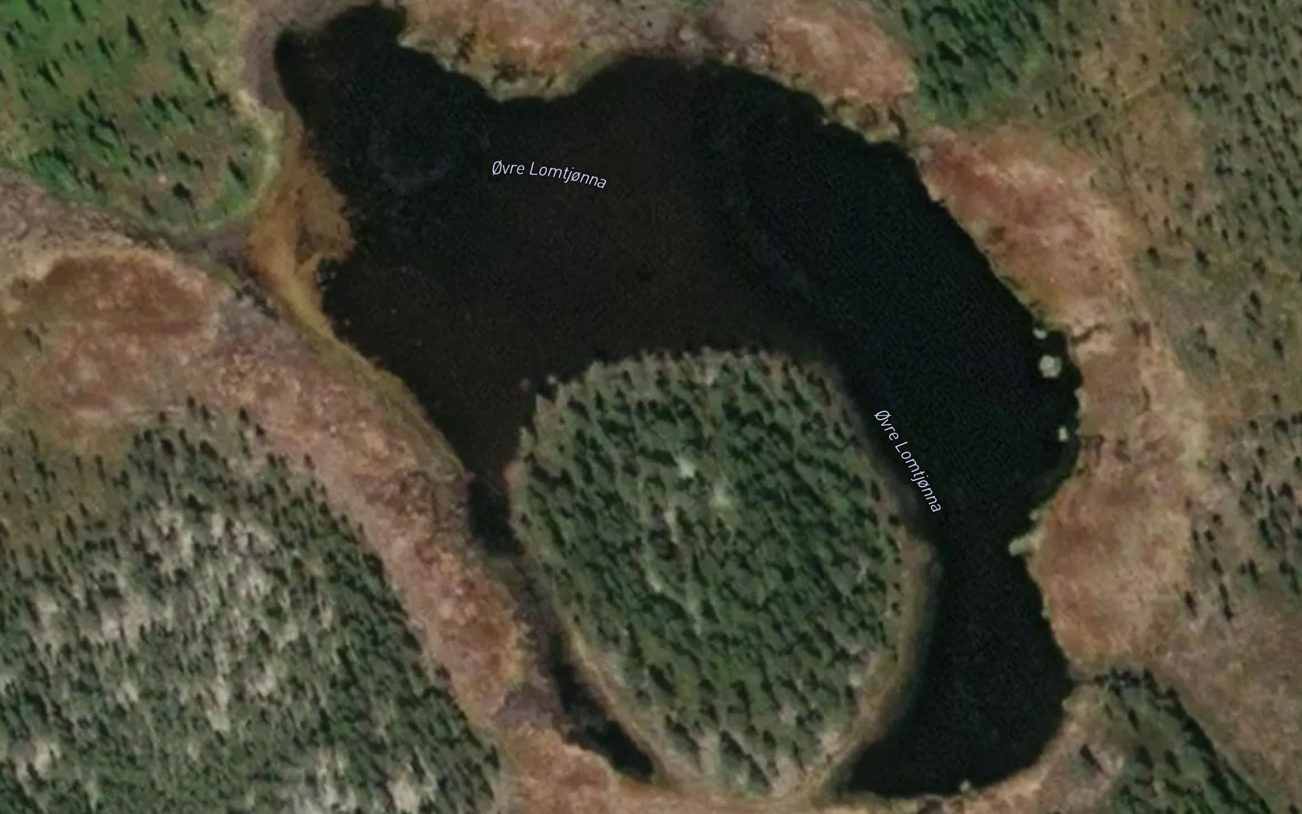 Lomtjorna,ovre