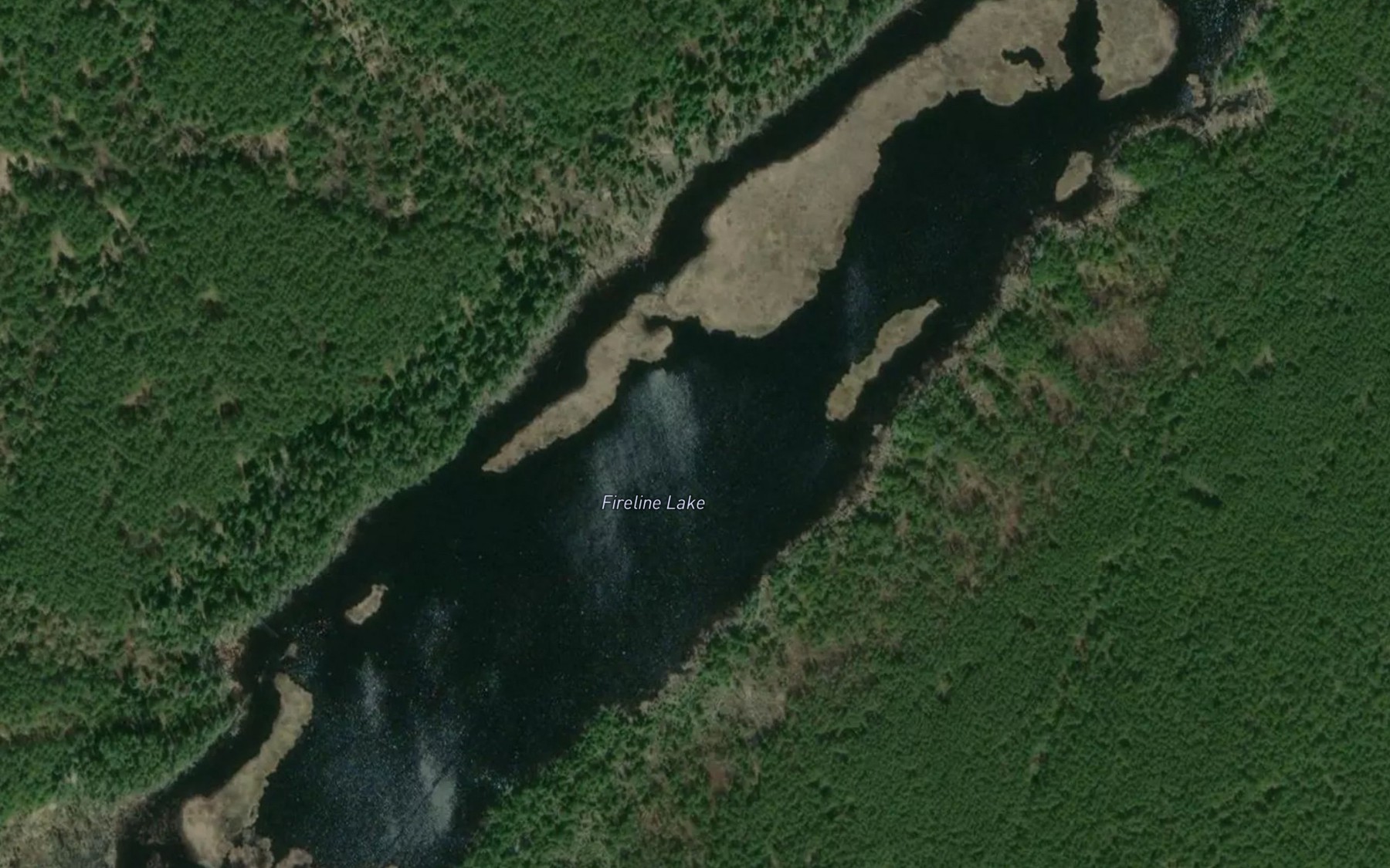 Satellite map of the Fireline Lake