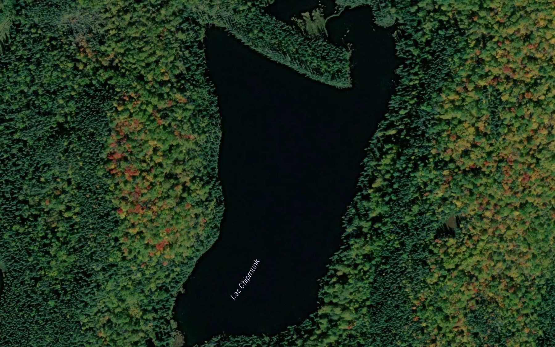 Satellite map of the Lac Chipmunk