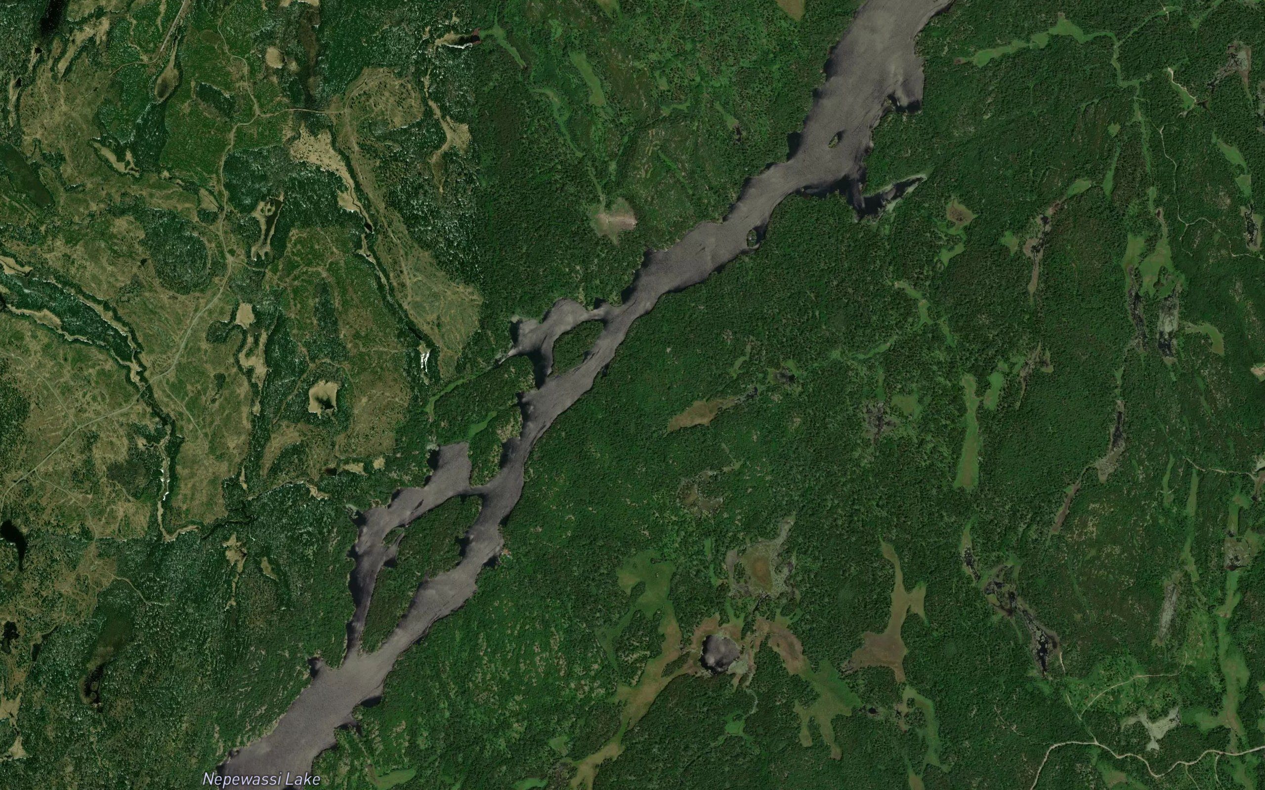 Lac Nepewassi